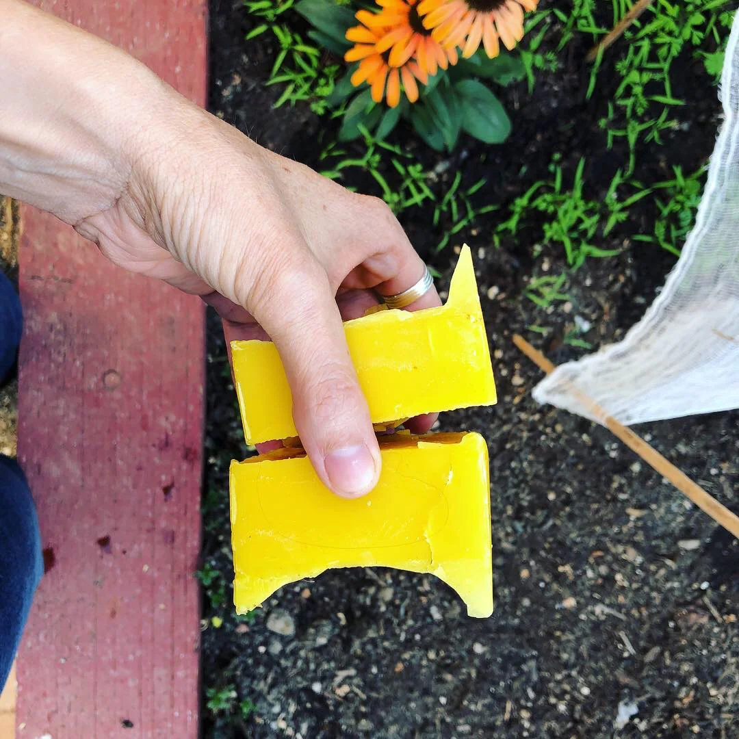 beeswax hunks