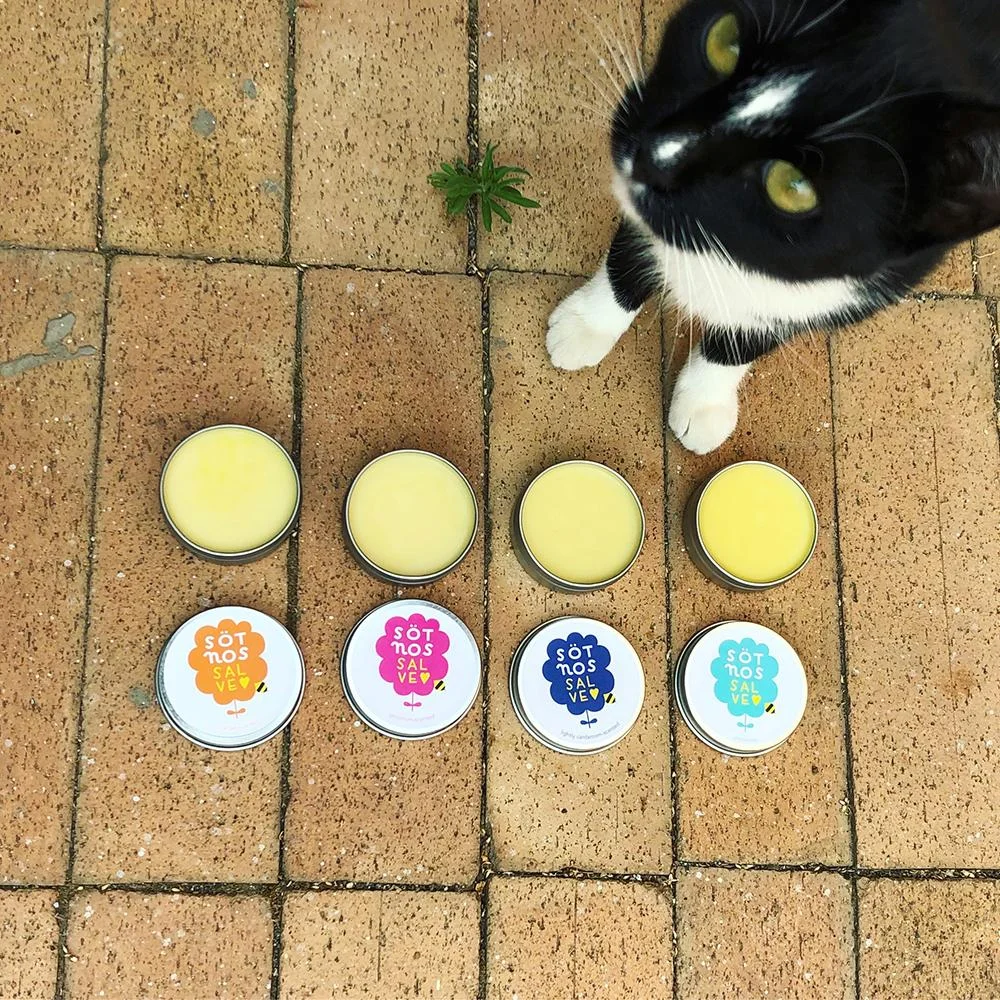 fourcat2.jpg