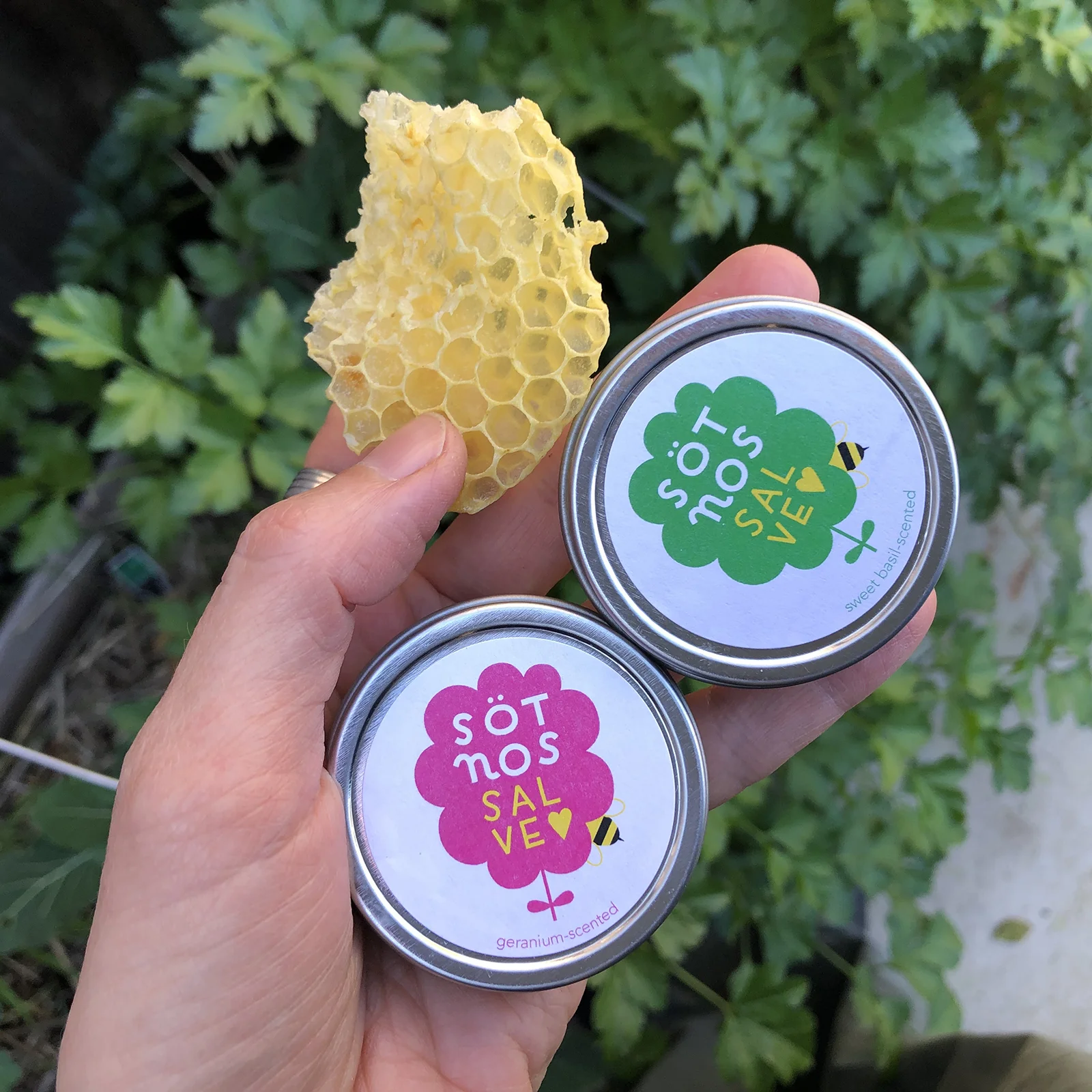 basil-ger-comb.jpg