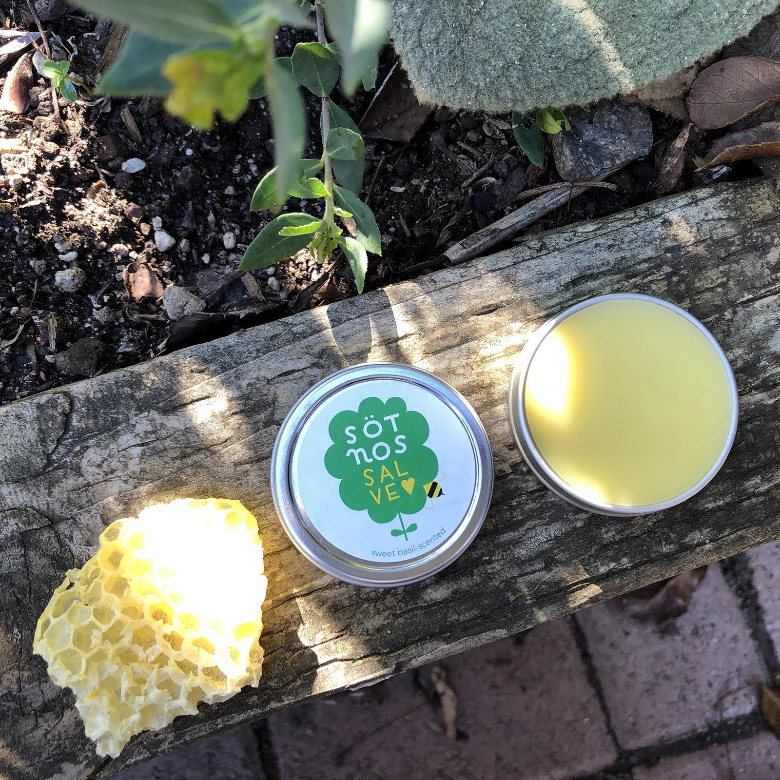 basil-comb-salve-light.jpg