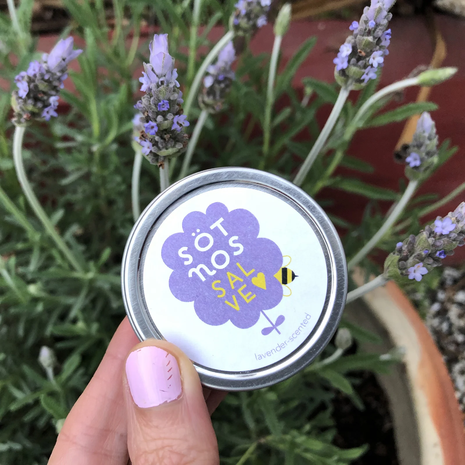 lavender.jpg