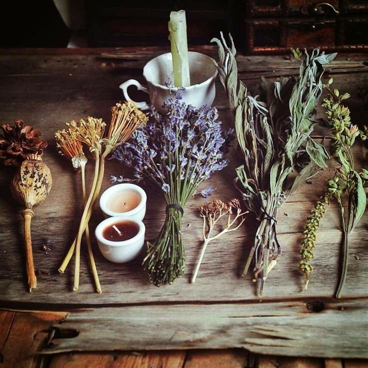 Magick as a Spiritual Wellness Practice | Class 7 - Herbs and Oils: Harvest Time