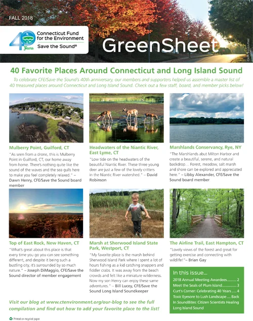 2018-Fall-Newsletter-CFE-1-thumbnail 500px.jpg