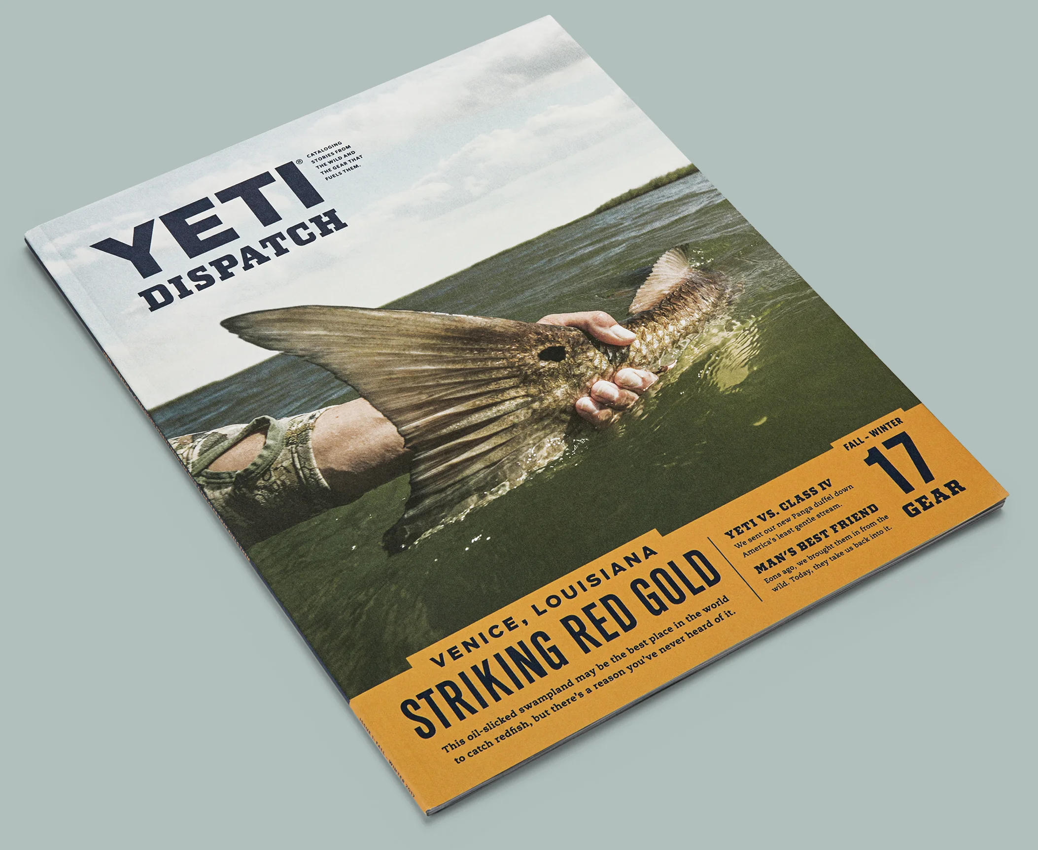 Yeti-Dispatch-COVER IMAGE_2.jpg