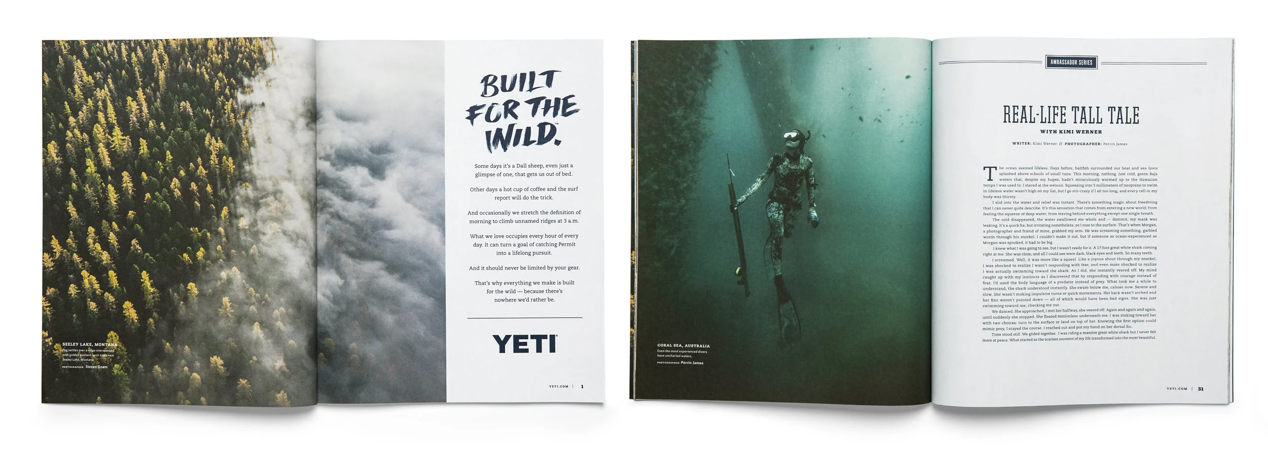 Yeti-Dispatch-COMBO 4 copy.jpg