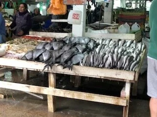 Fish market