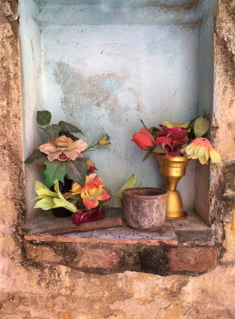 Cuban Flowers Reduced.jpg