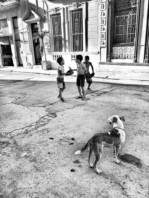 Kids with Dog Reduced.jpg