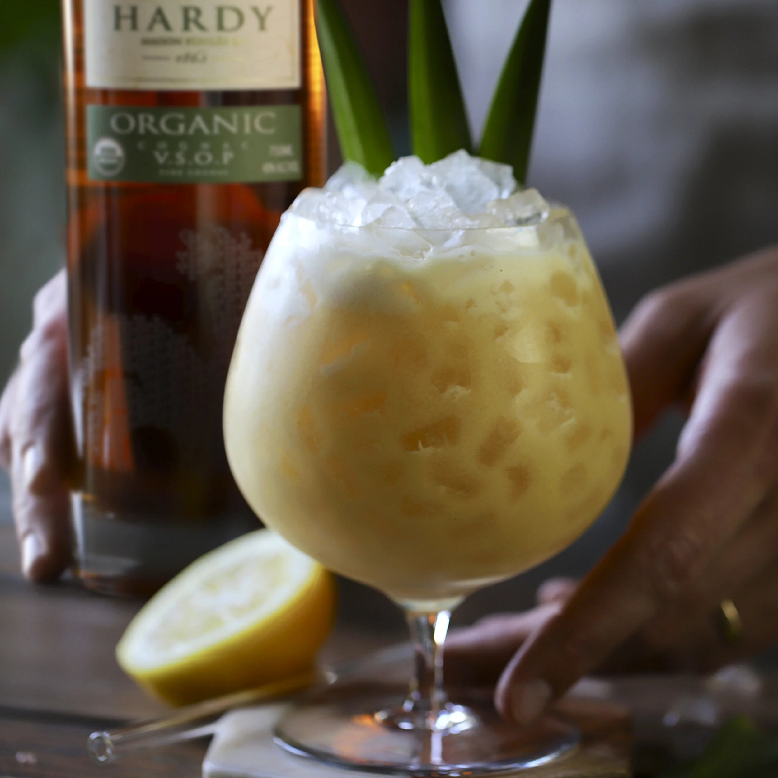 Ananas Colada.jpg