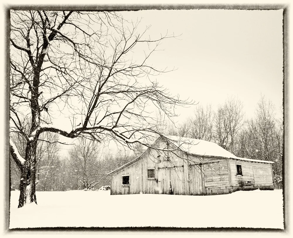 Abandoned-Barn-5.jpg