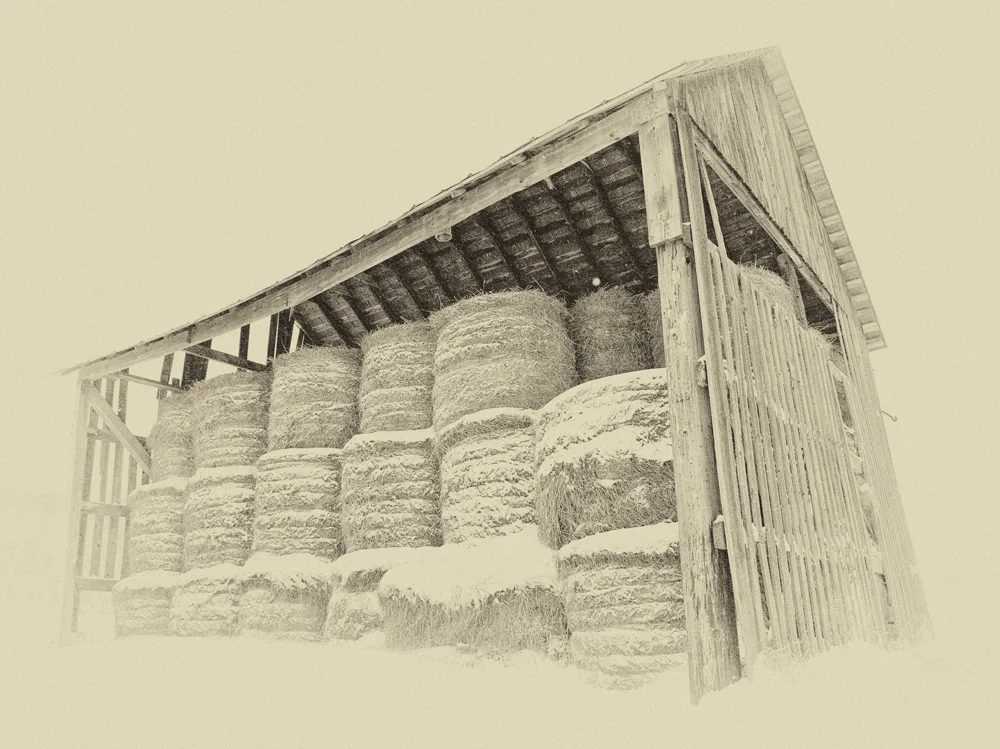 Barn-7.jpg