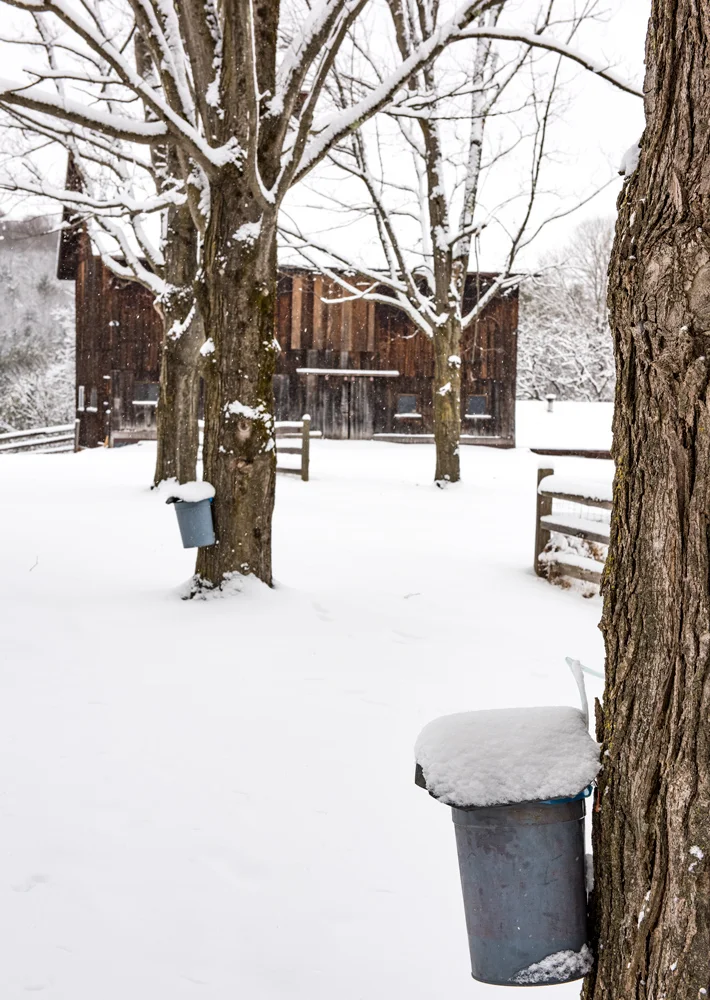Barn-15.jpg