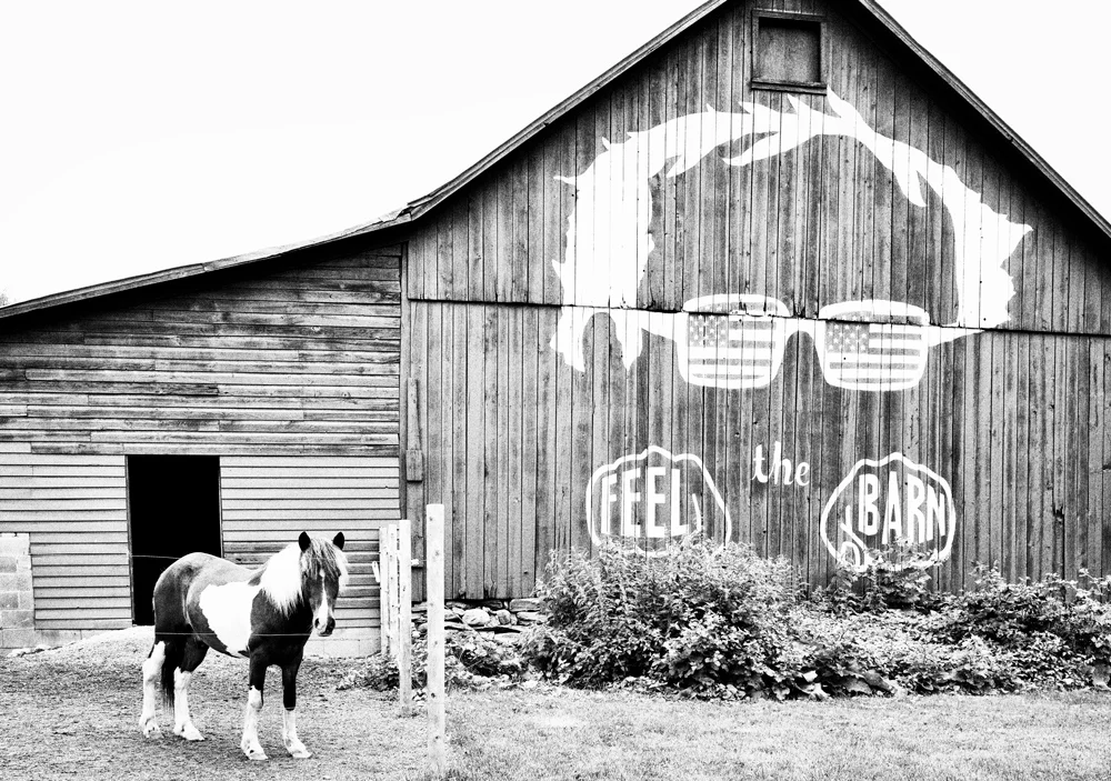 Barn-17.jpg