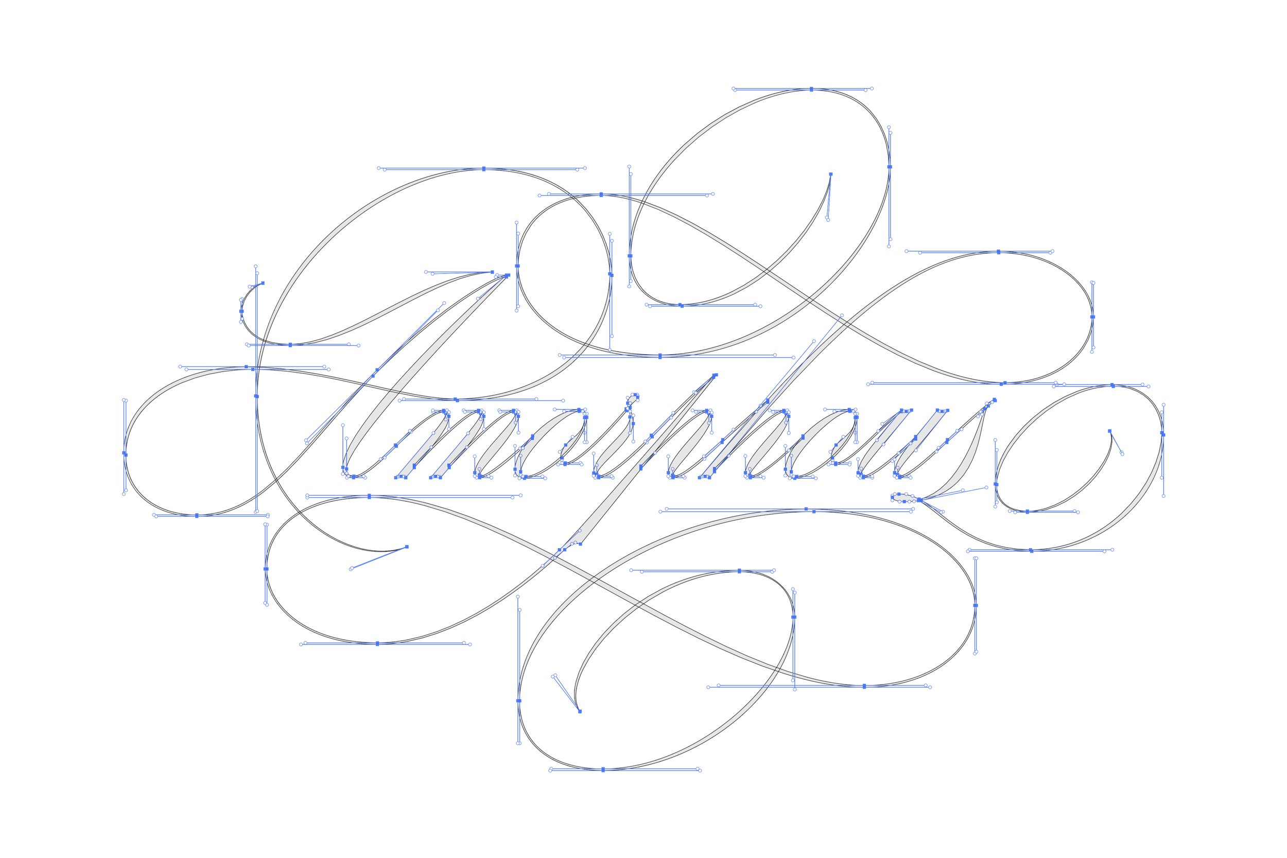 Amorphous_Script_Lettering_Vector_Toronto.jpg