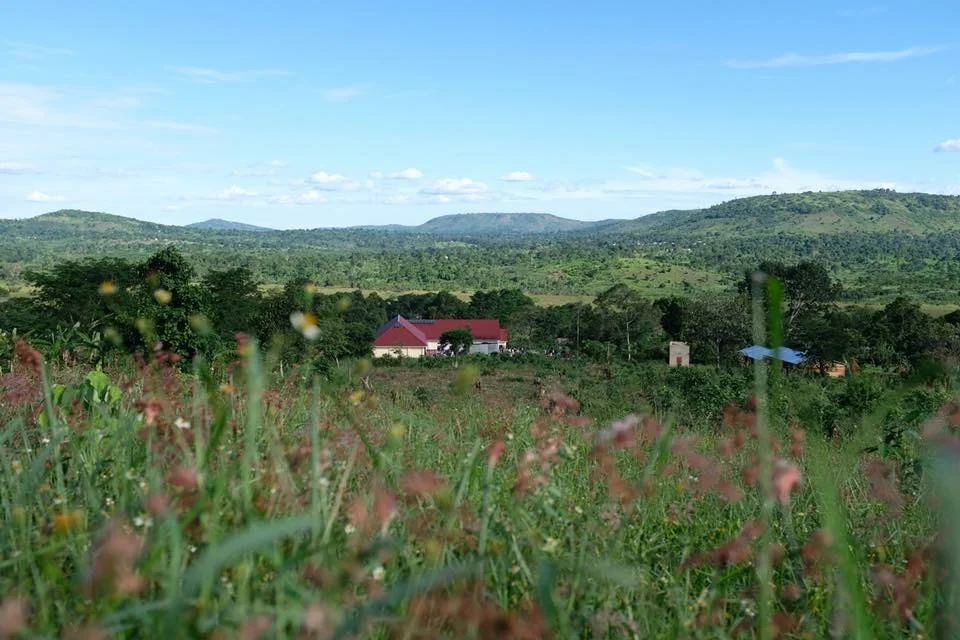 AH land in Kyerima.JPG