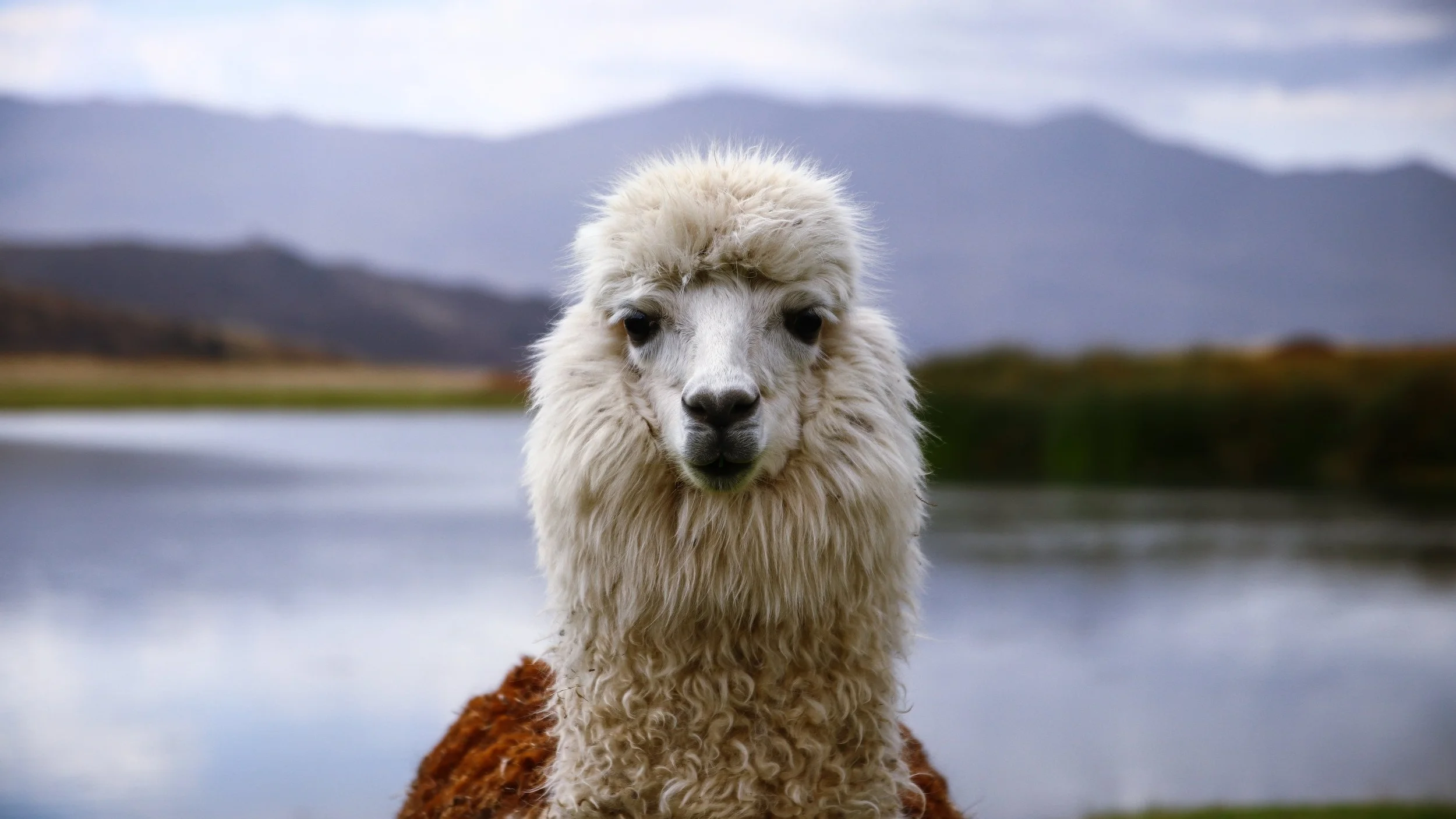 peru.jpg