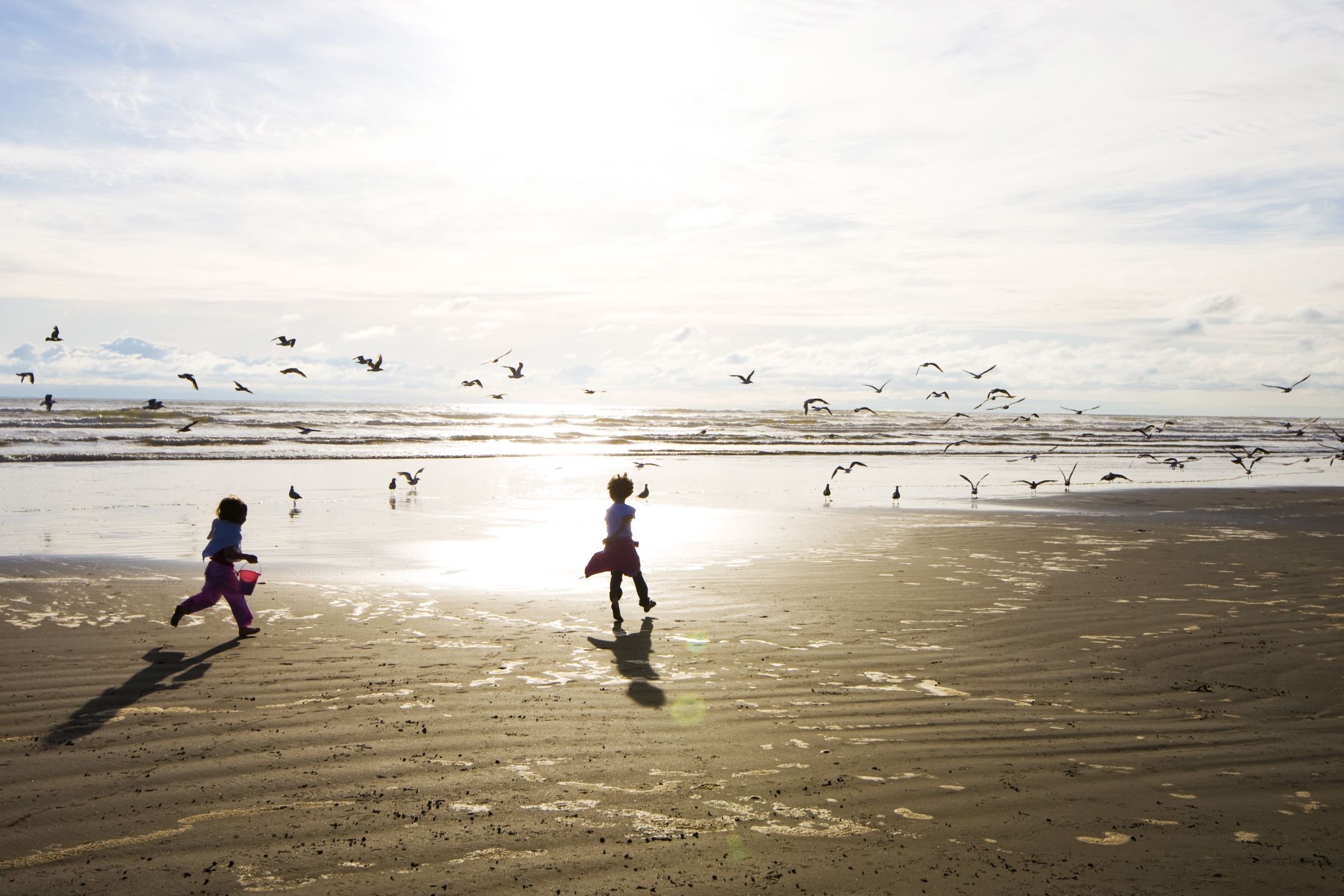 AdobeStock_9978509_web.jpg