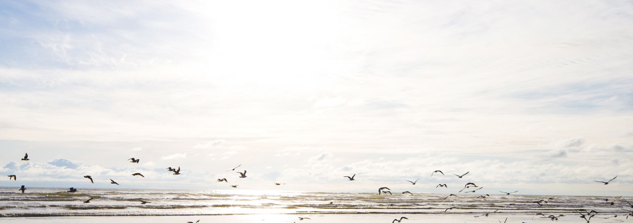 AdobeStock_9978509_web2.jpg