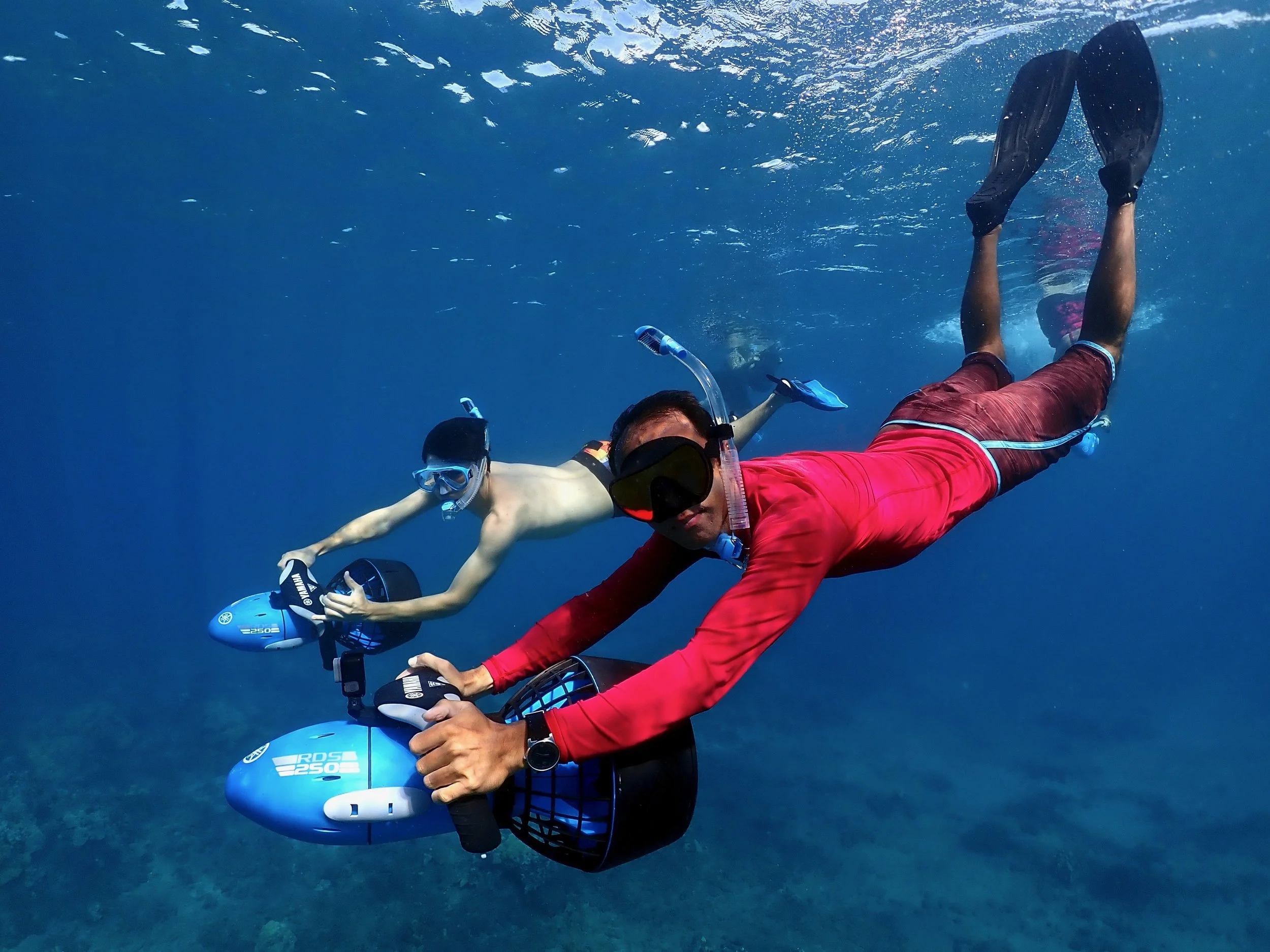 21 Best Things to Do in Wailea Maui featured by top Hawaii blog, Hawaii Travel with Kids: https://images.squarespace-cdn.com/content/v1/5bbbf1522727be3c9aeee44f/1539471412150-1FQCV8CYZ0FBUXOD05BN/ke17ZwdGBToddI8pDm48kDHPSfPanjkWqhH6pl6g5ph7gQa3H78H3Y0txjaiv_0fDoOvxcdMmMKkDsyUqMSsMWxHk725yiiHCCLfrh8O1z4YTzHvnKhyp6Da-NYroOW3ZGjoBKy3azqku80C789l0mwONMR1ELp49Lyc52iWr5dNb1QJw9casjKdtTg1_-y4jz4ptJBmI9gQmbjSQnNGng/P9160234.jpg?format=2500w