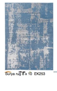 2018-06-16_12-26-35 EPIC rug blue.jpg