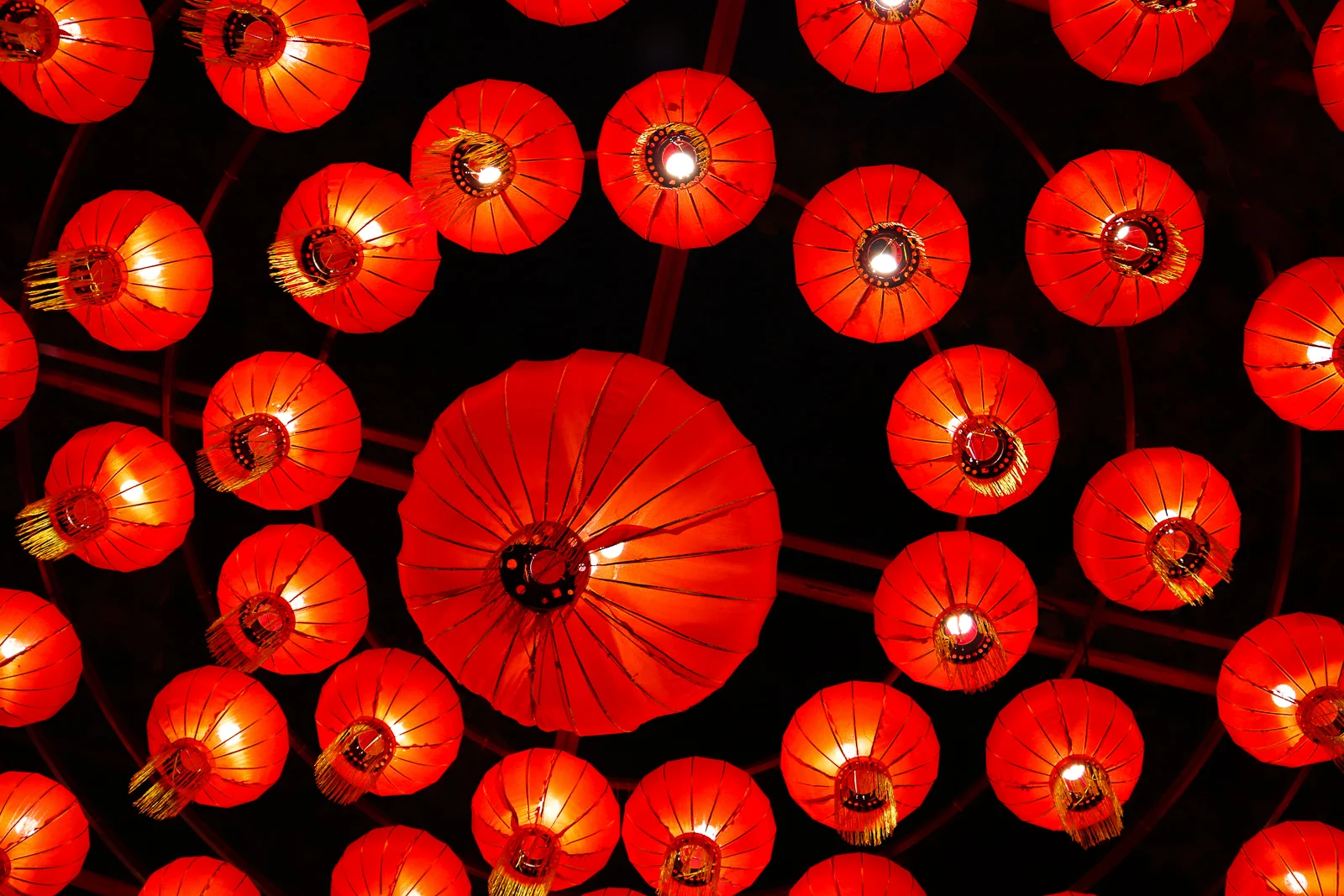 PhillyChineseLanternFest2019-29.jpg
