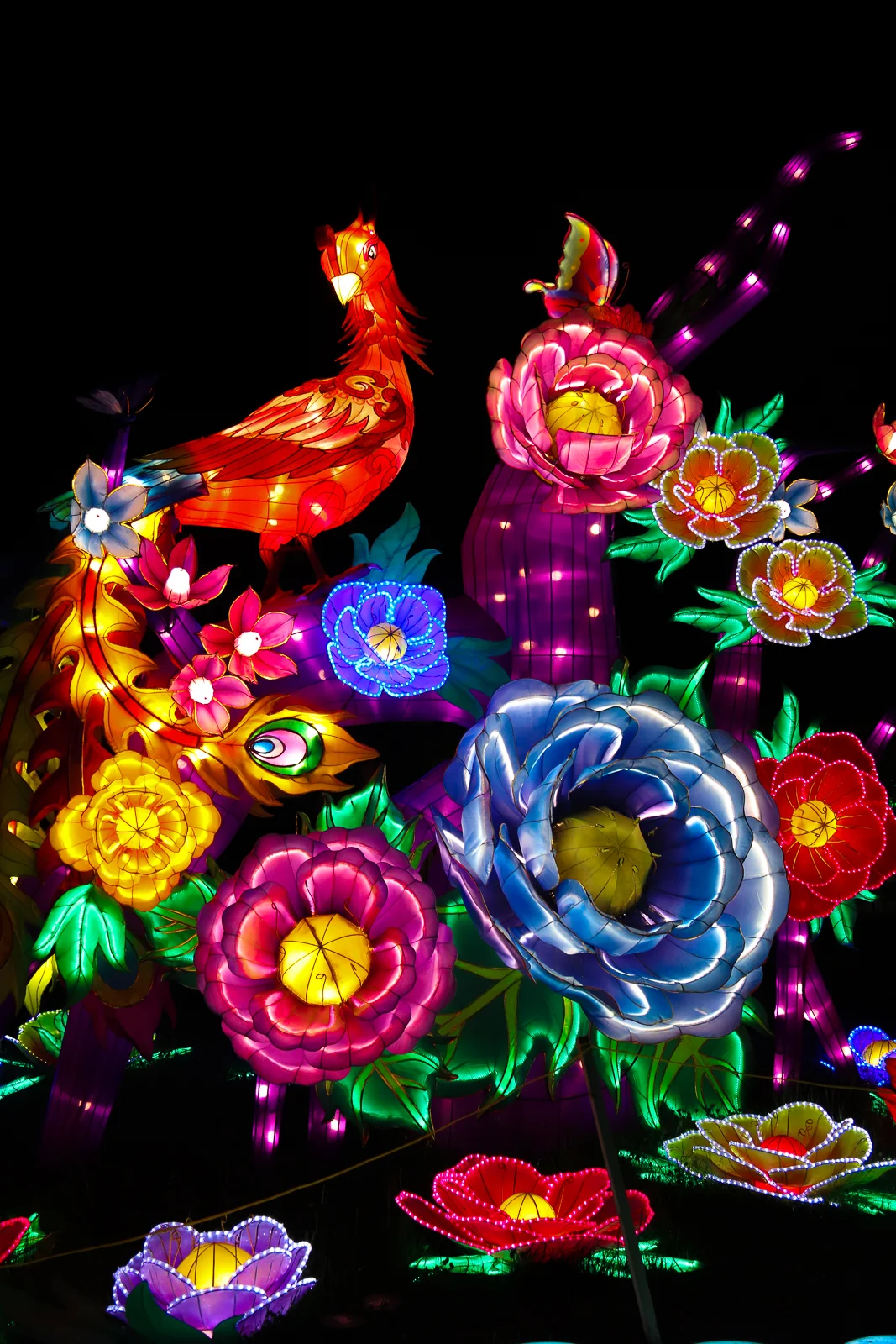 PhillyChineseLanternFest2019-43.jpg