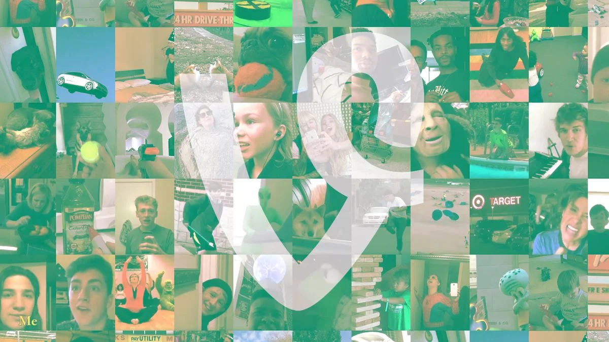 The Resurrection of Vine