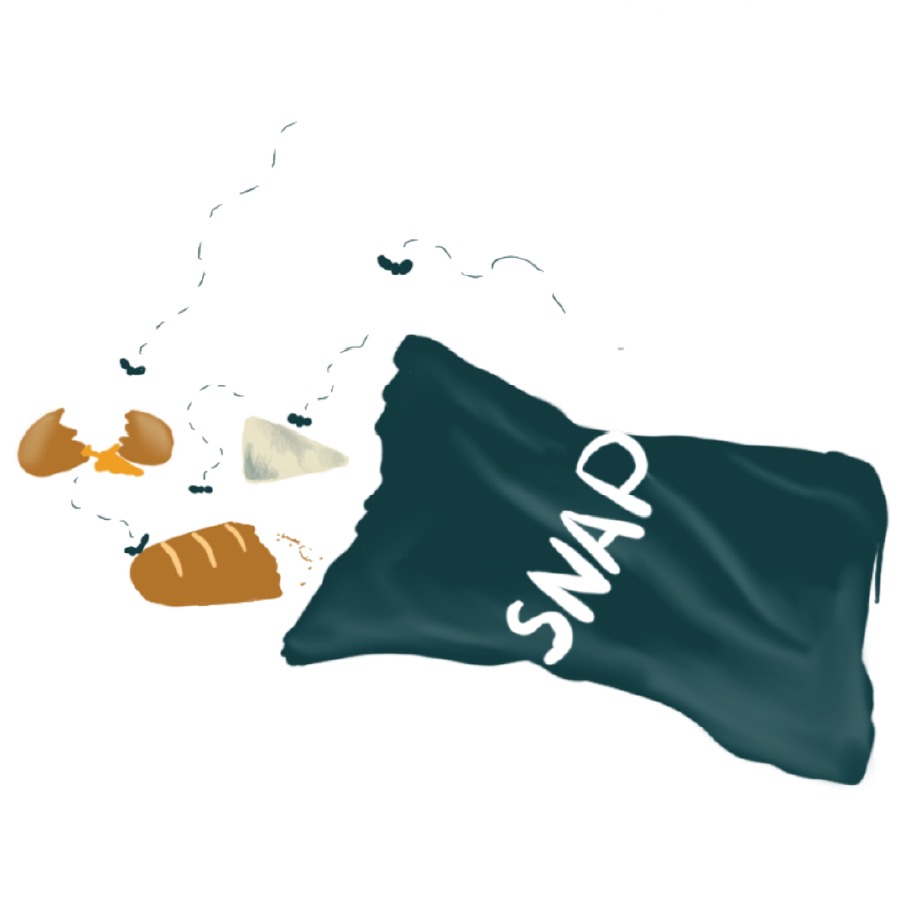 What You Need to Know About SNAP