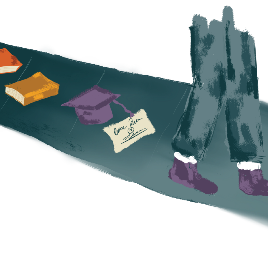 Do You Get What You Pay For?