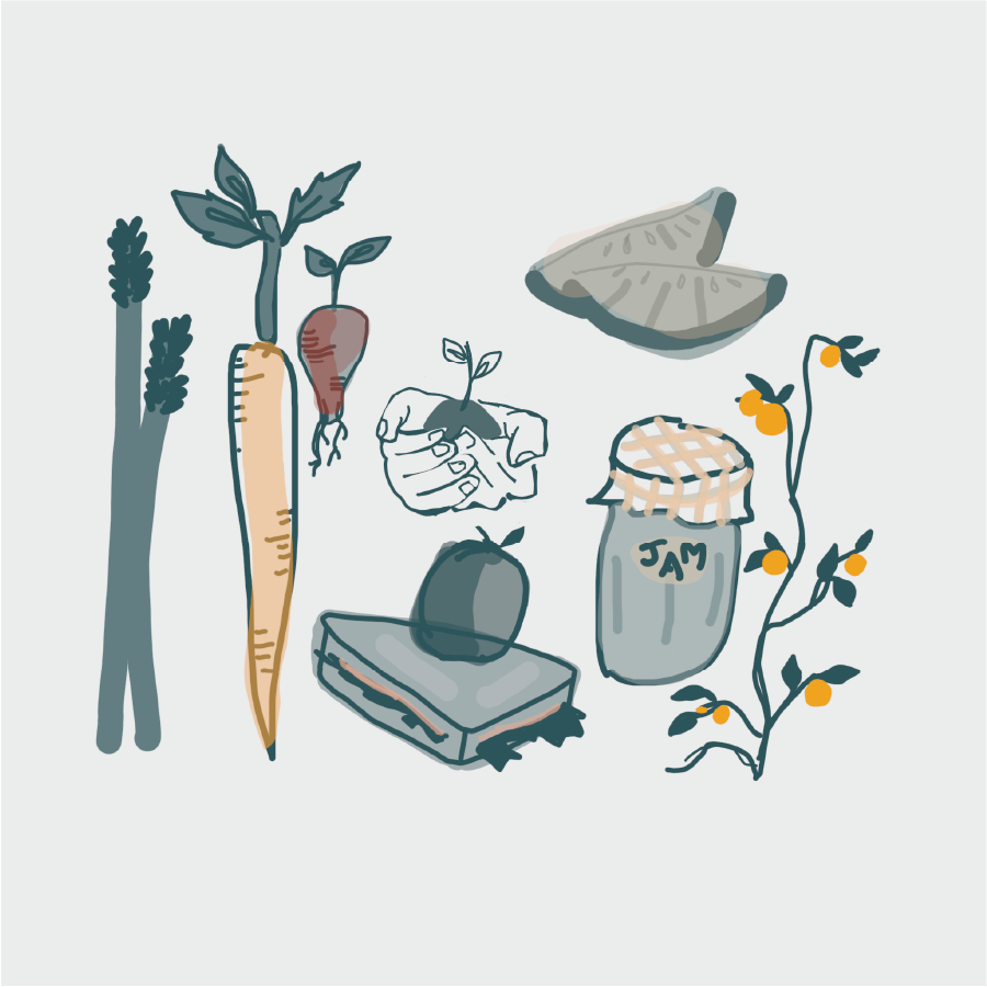 Food Accessibility in the Cities