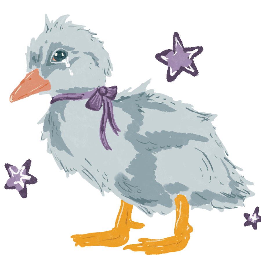 The Ugly Little Duckling