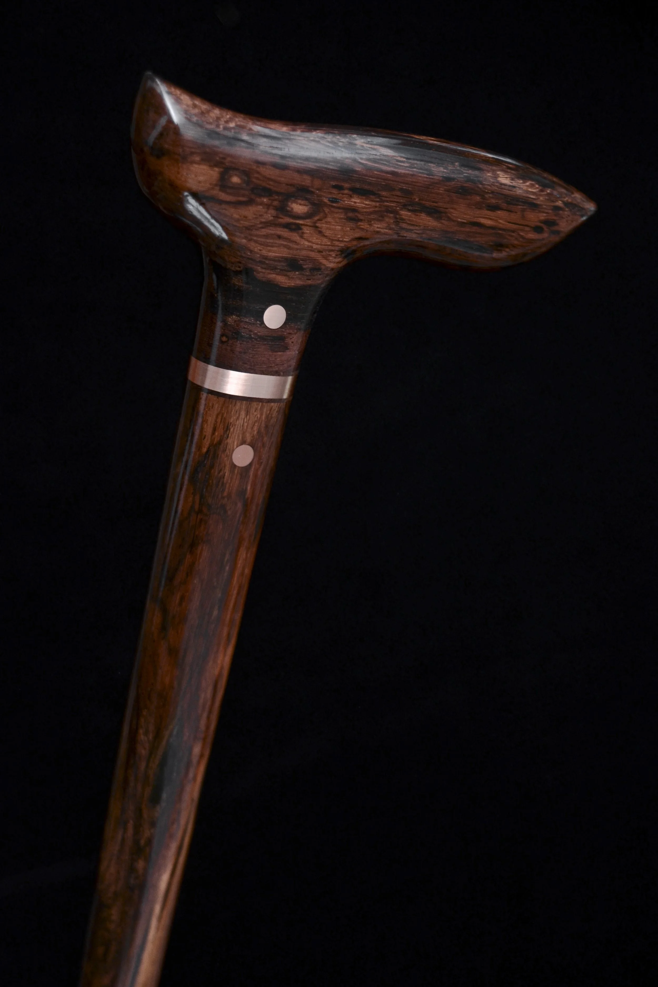 Lanceolaria 7.jpg