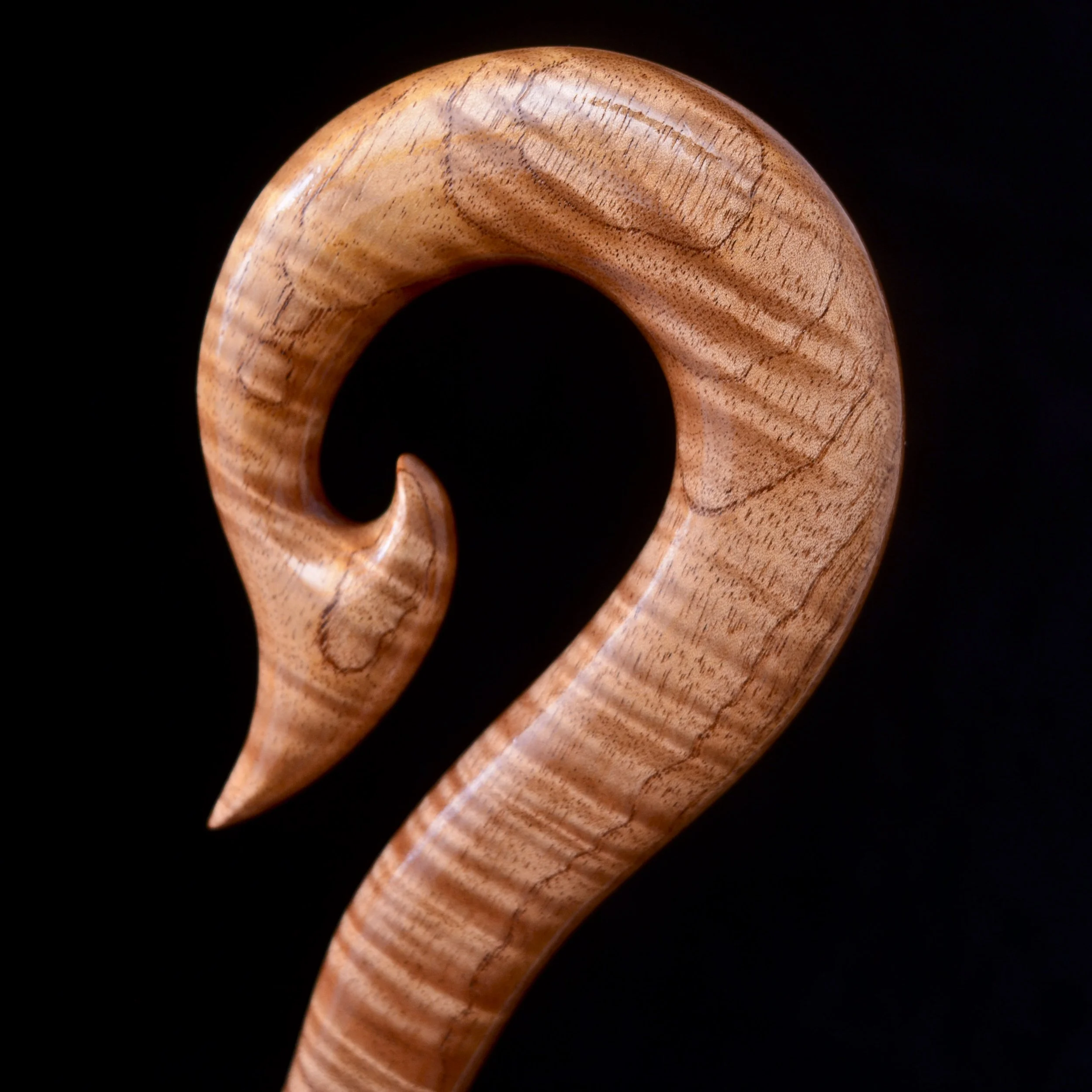 Toona sureni, Makore 6.jpg