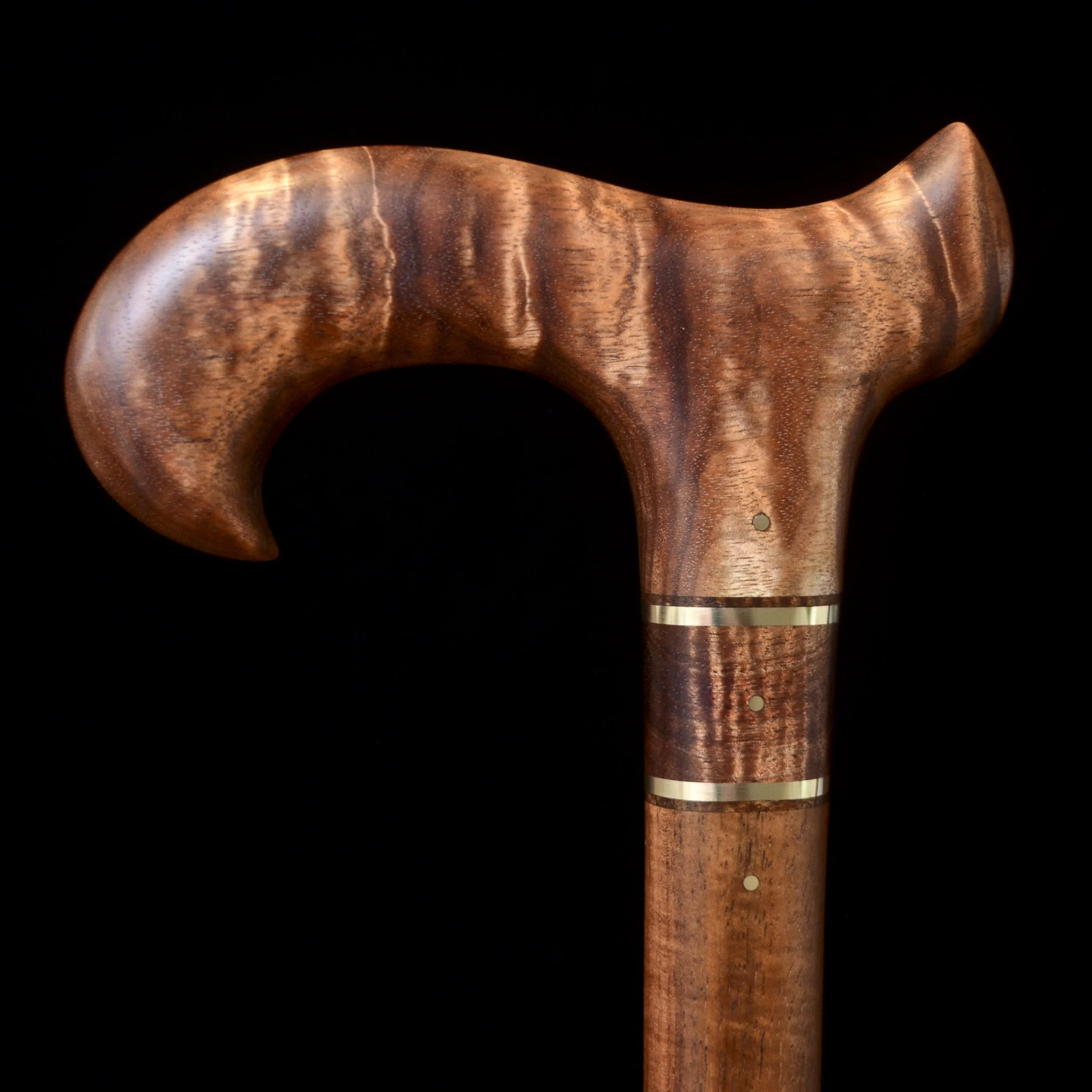 Tasmanian Blackwood, Tzalam 10.jpg
