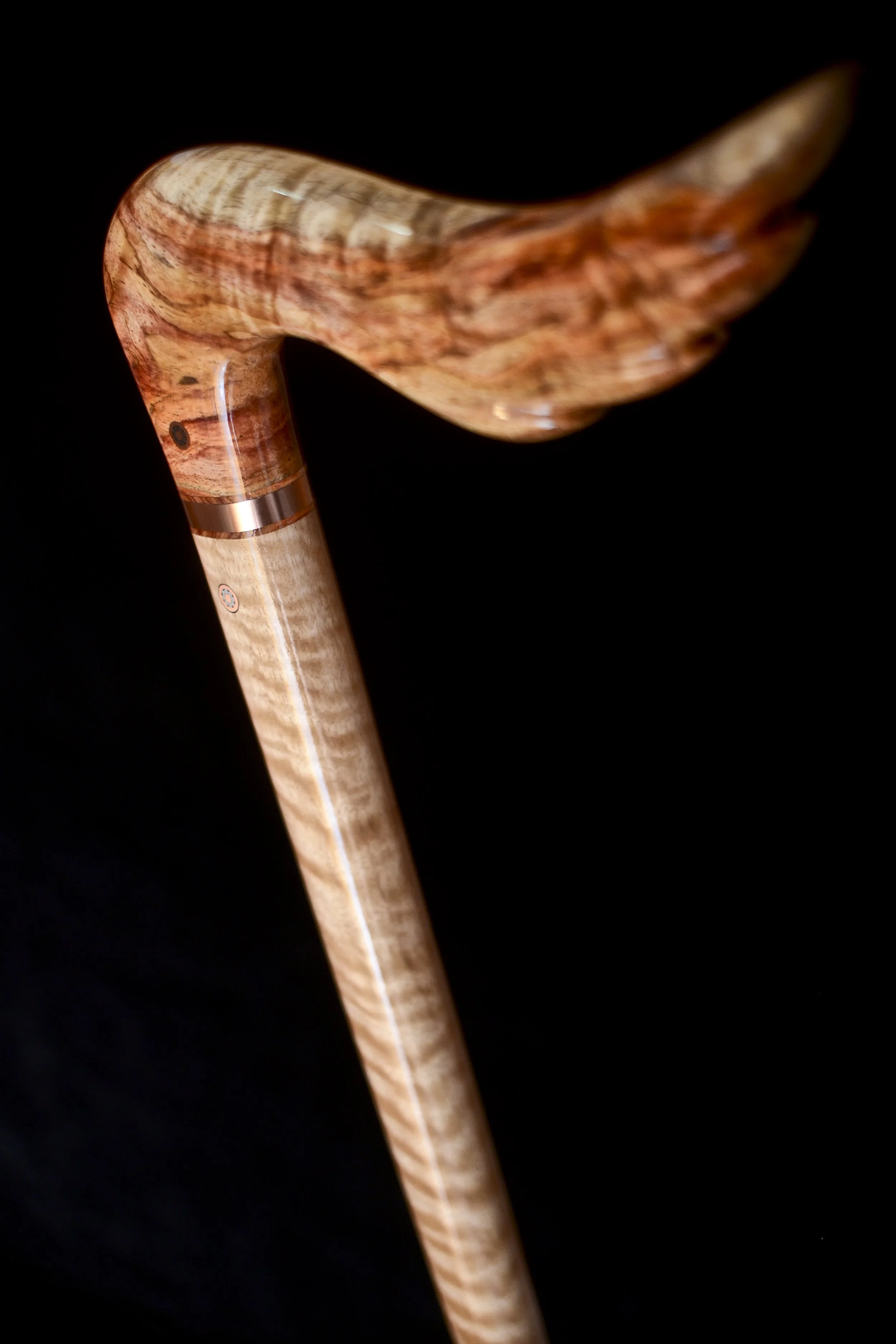 Hainan Rosewood, Eucalyptus 6.jpg