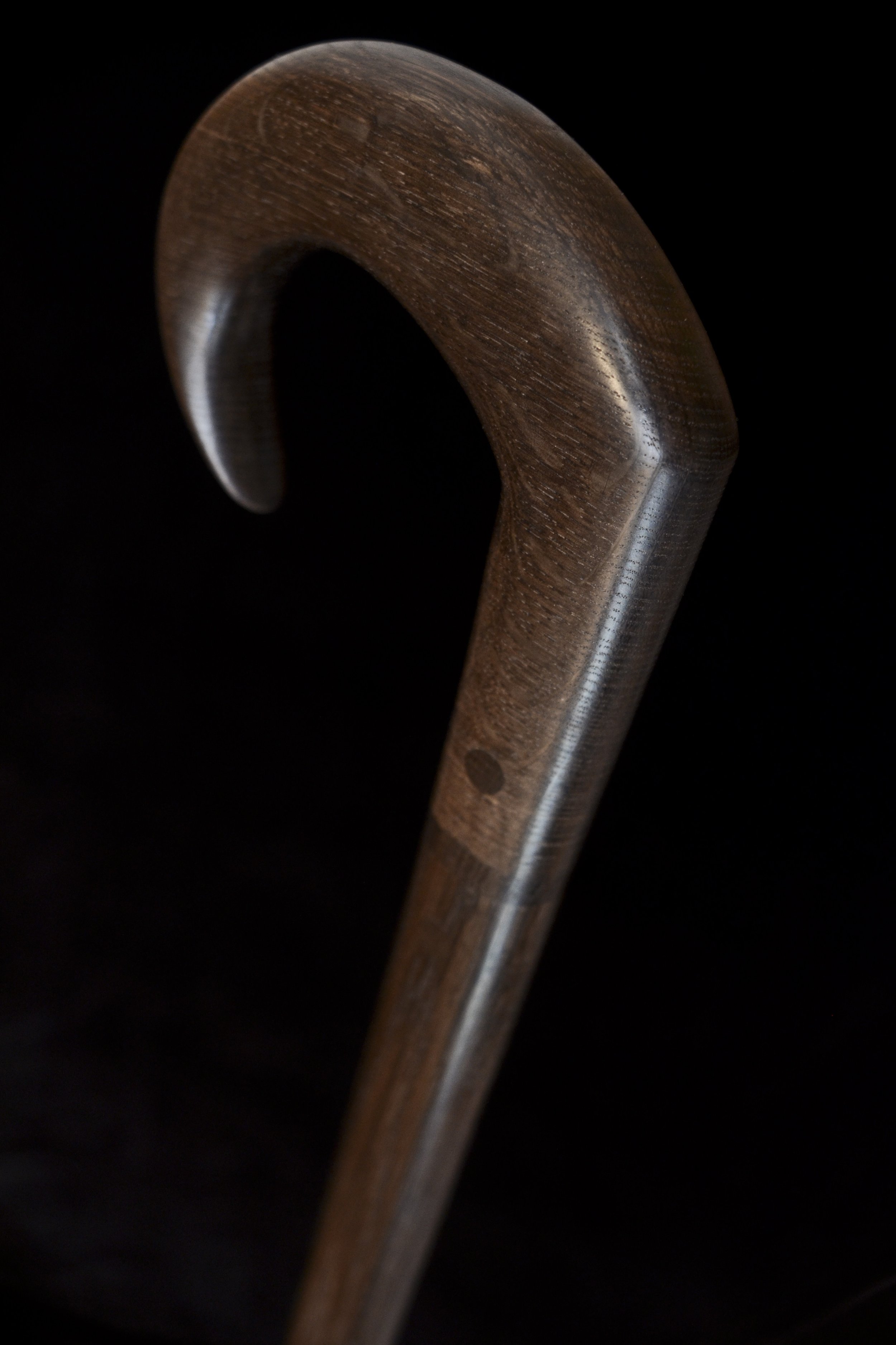 Bog Oak 3.jpg