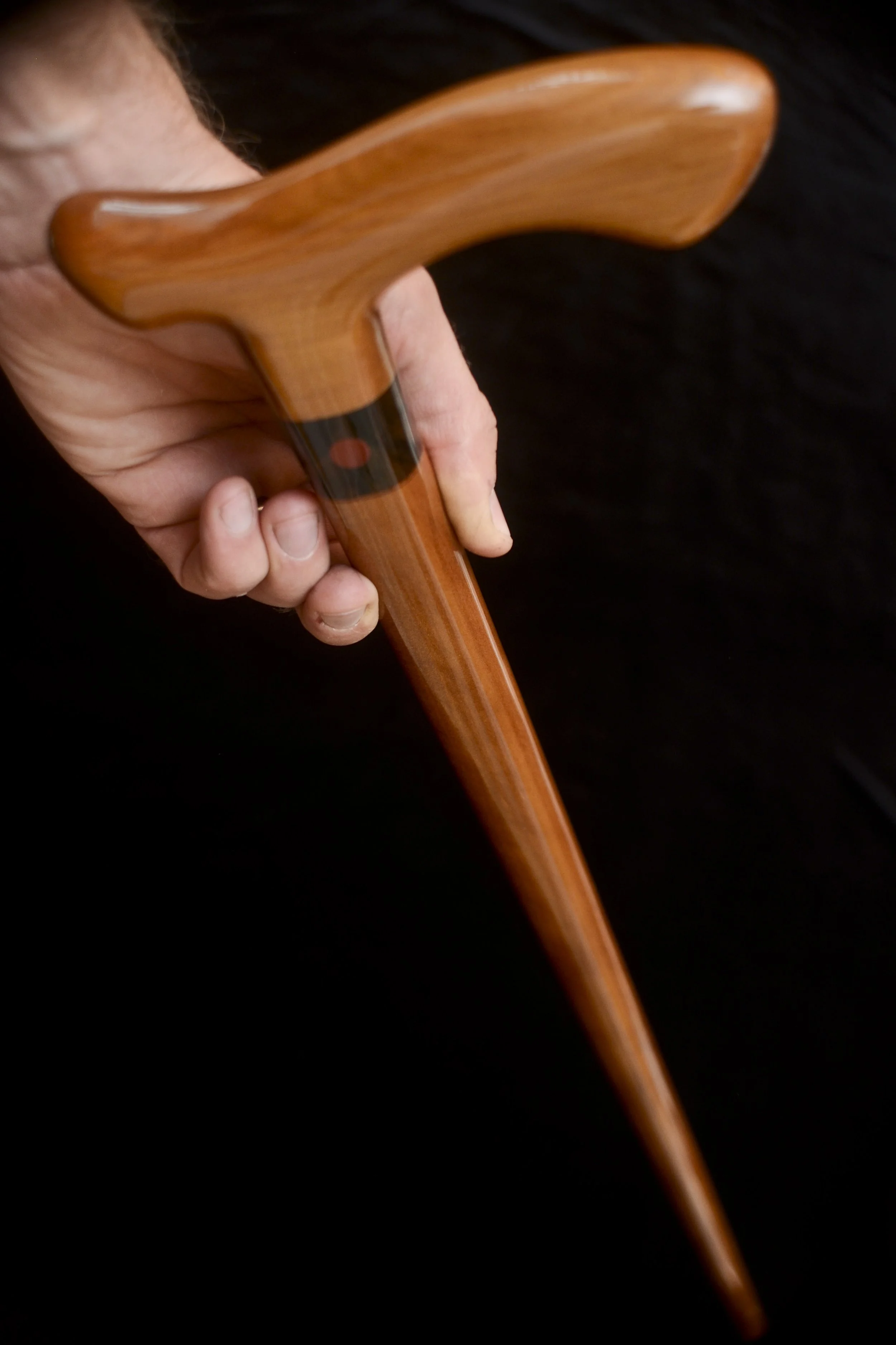 Ancient Kauri 10.jpg