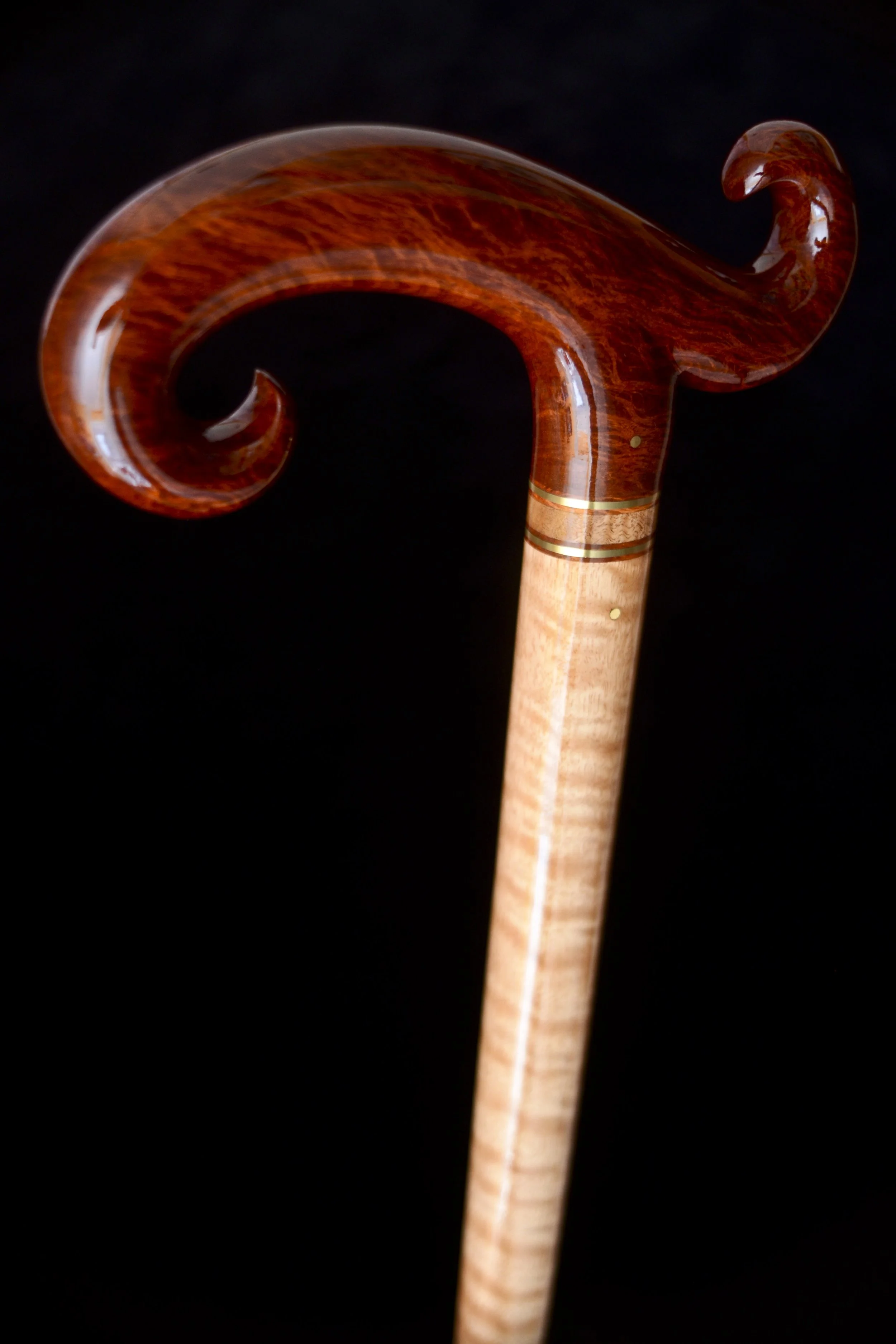 Sheoak, Eucalyptus 6.jpg