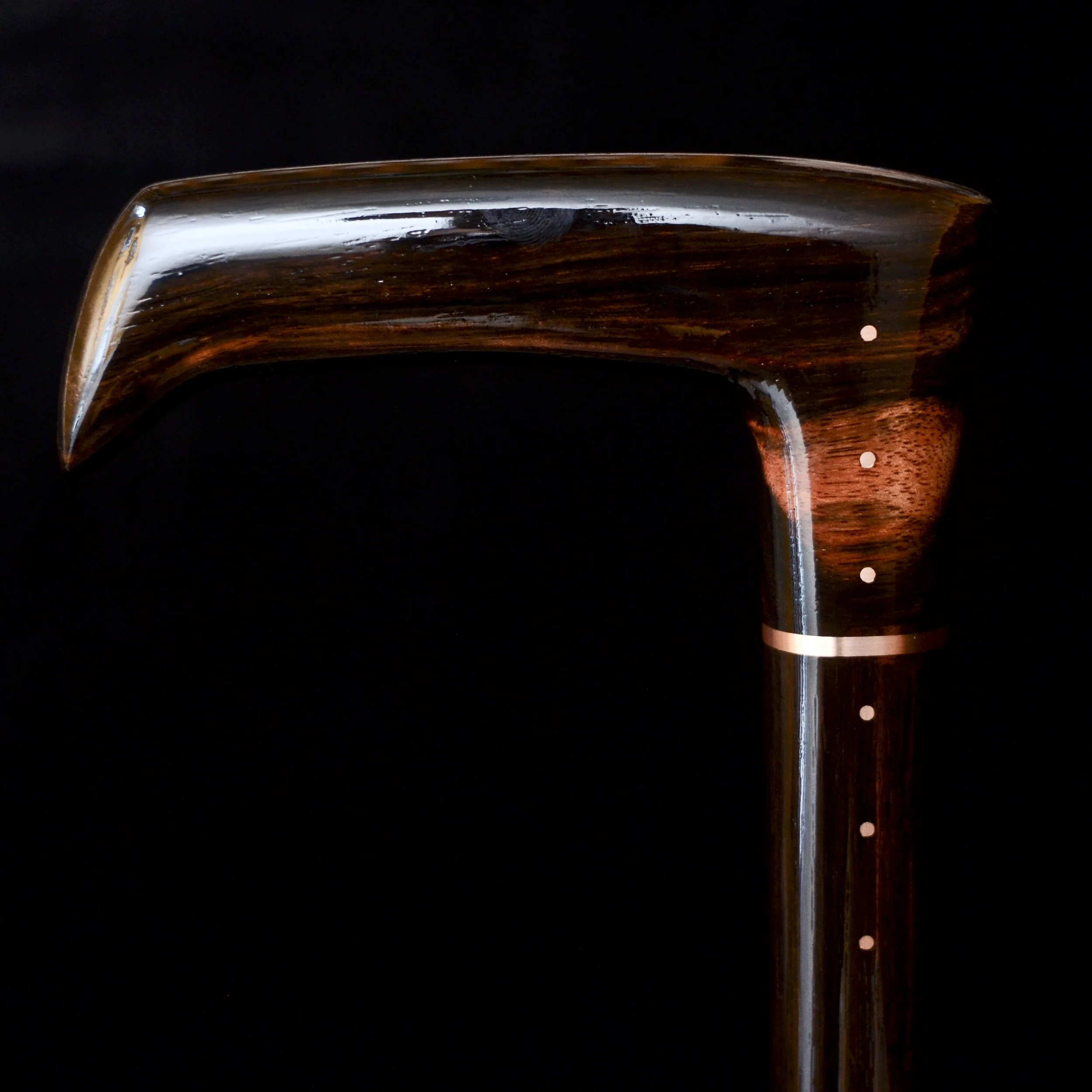 Ebony Modern 13.jpg