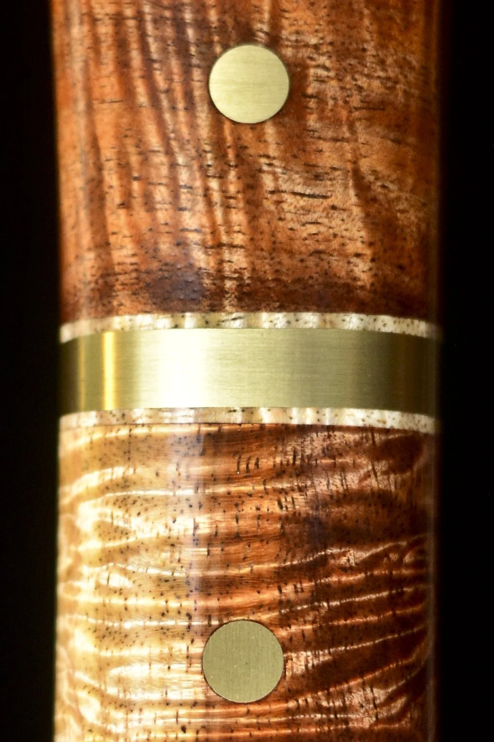 Tasmanian Blackwood 11.jpg