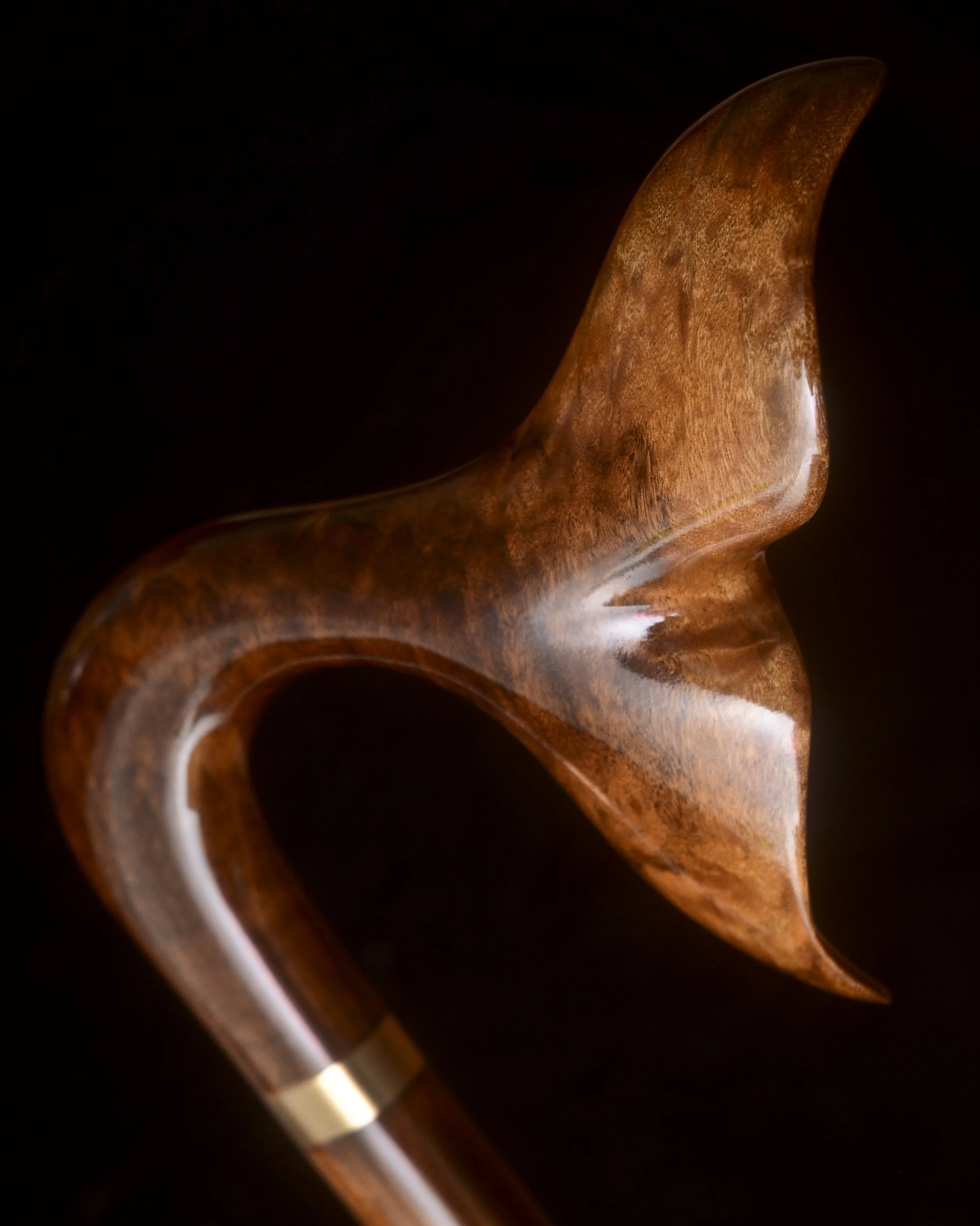 Imbuia Whale Tail 6.jpg