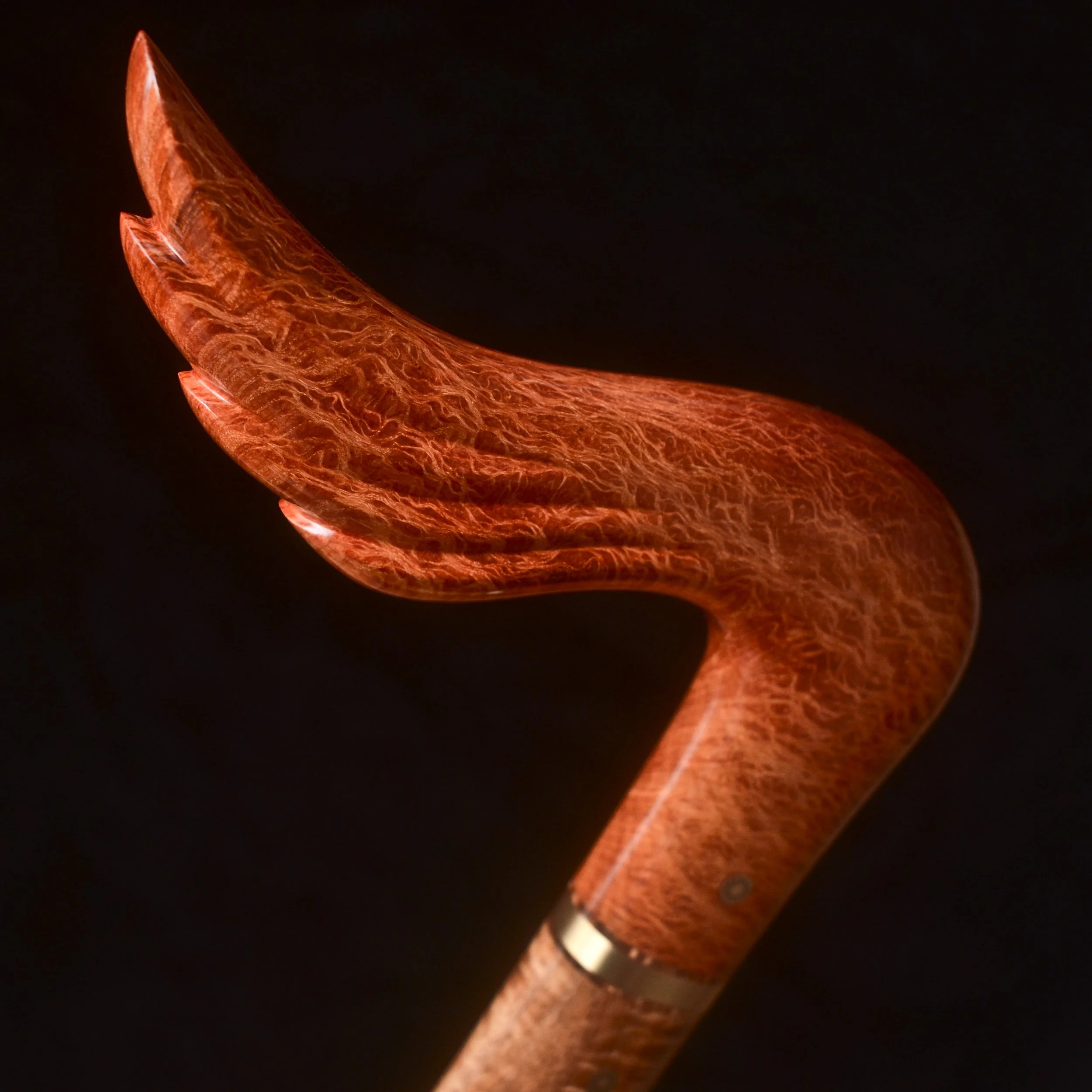 Sheoak, Tasmanian Blackwood 6.jpg