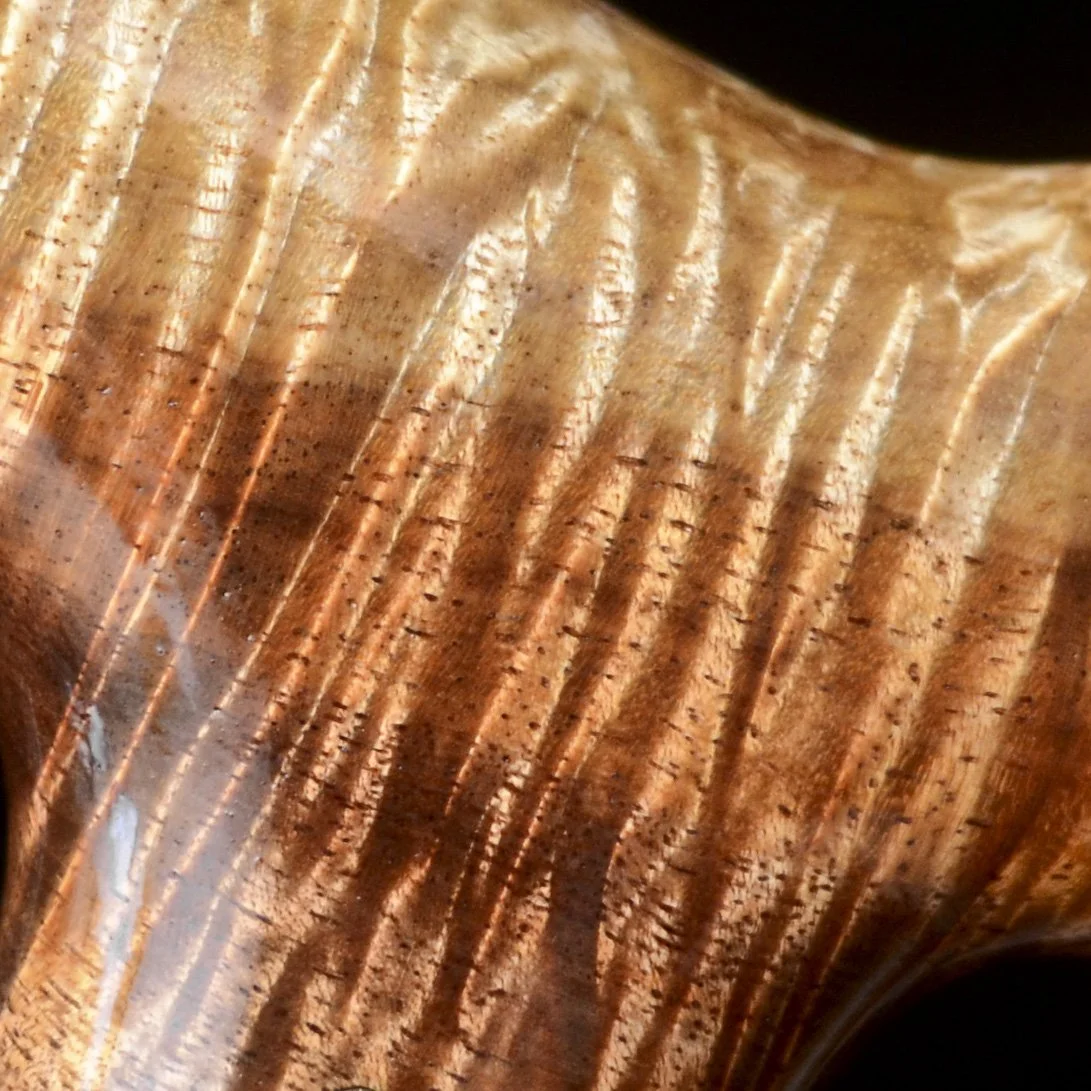 Tasmanian Blackwood 10.jpg
