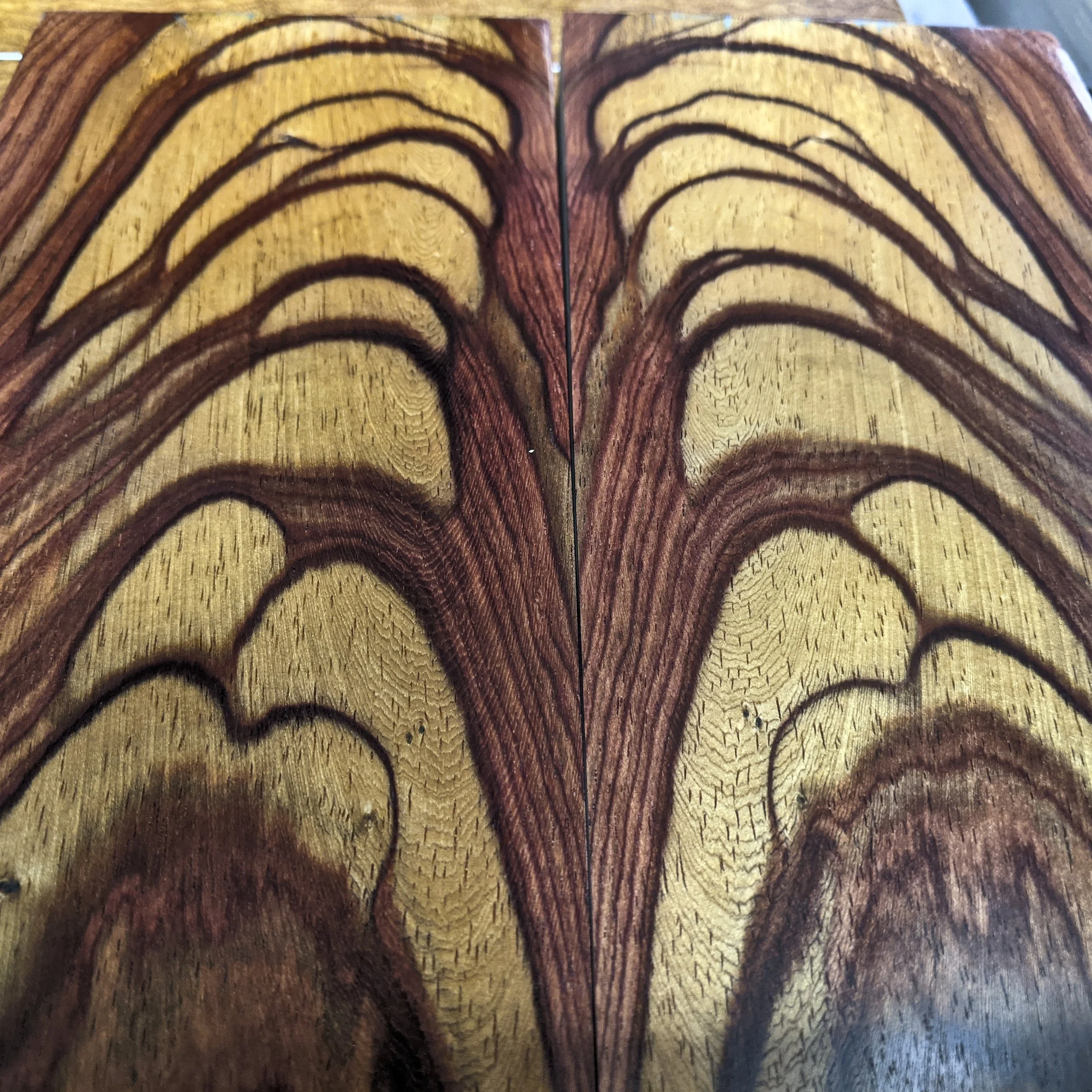 Exotic Woods 29.jpg