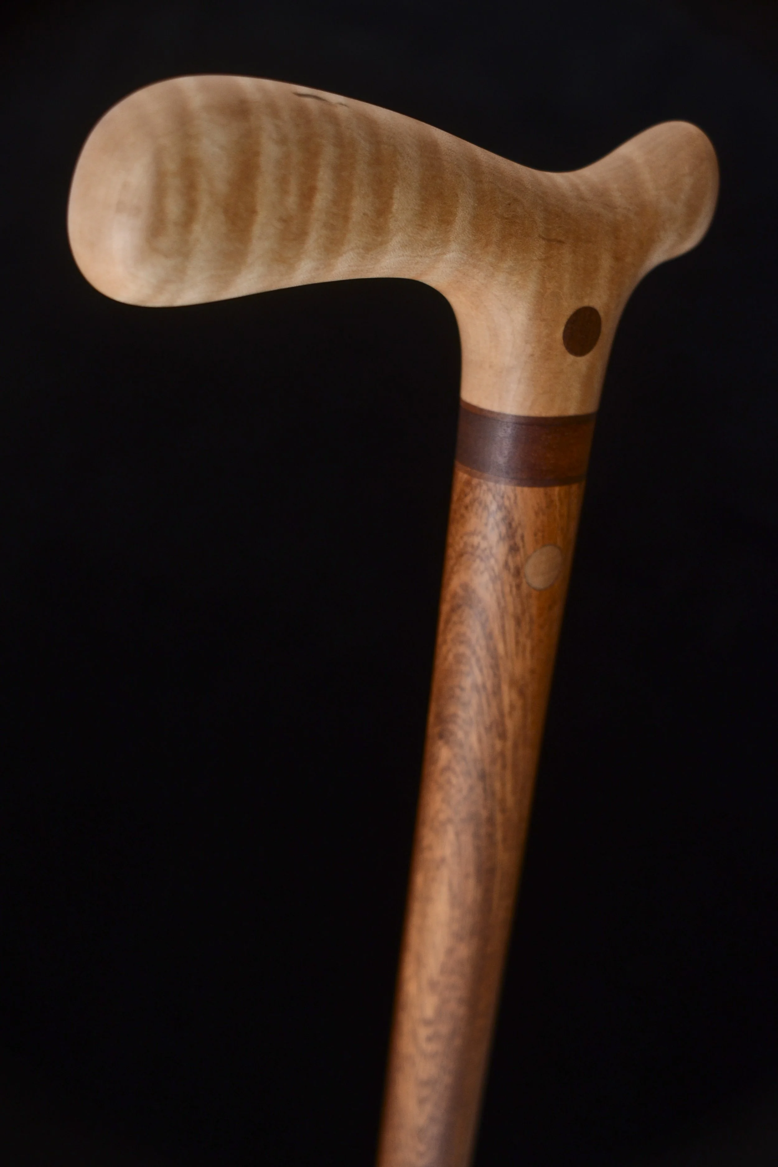 Maple, Sapele 4.jpg
