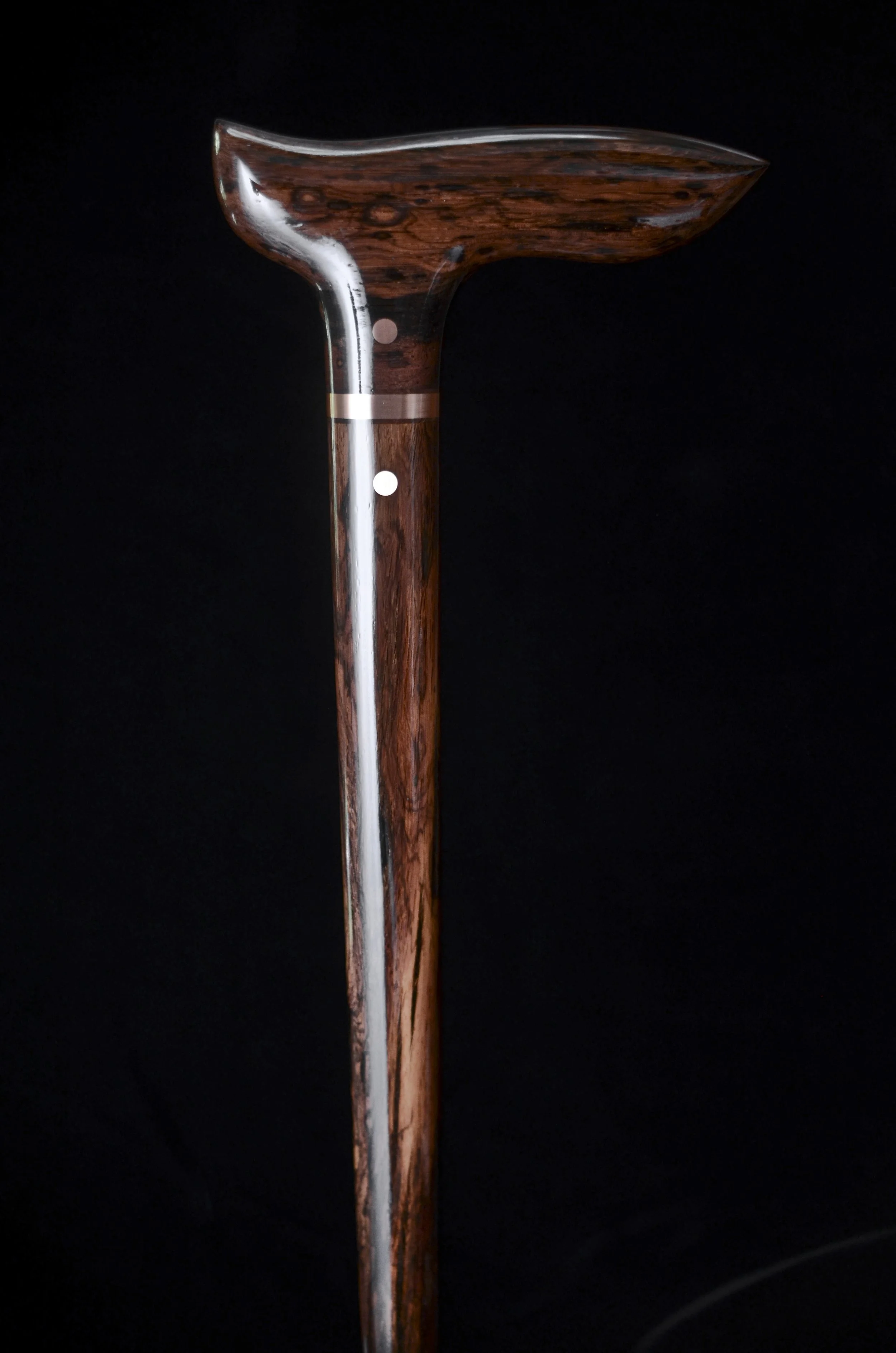 Lanceolaria 1.jpg