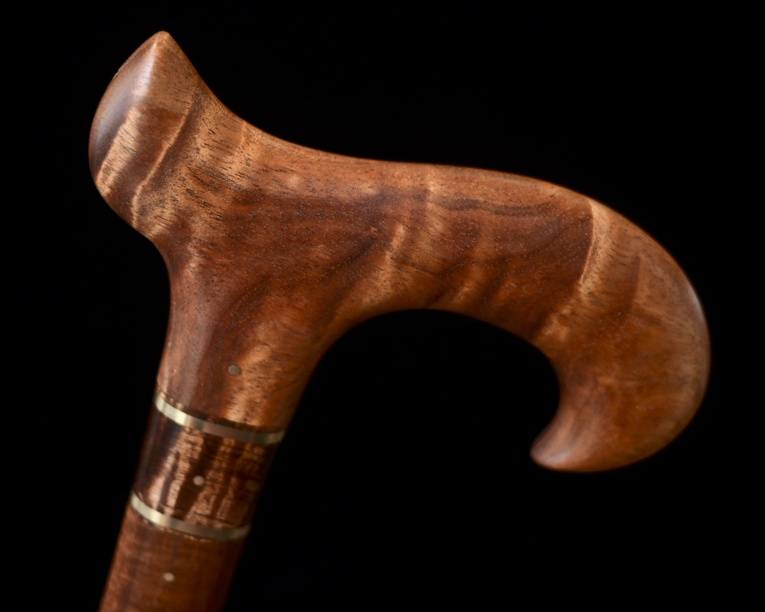 Tasmanian Blackwood, Tzalam 7.jpg