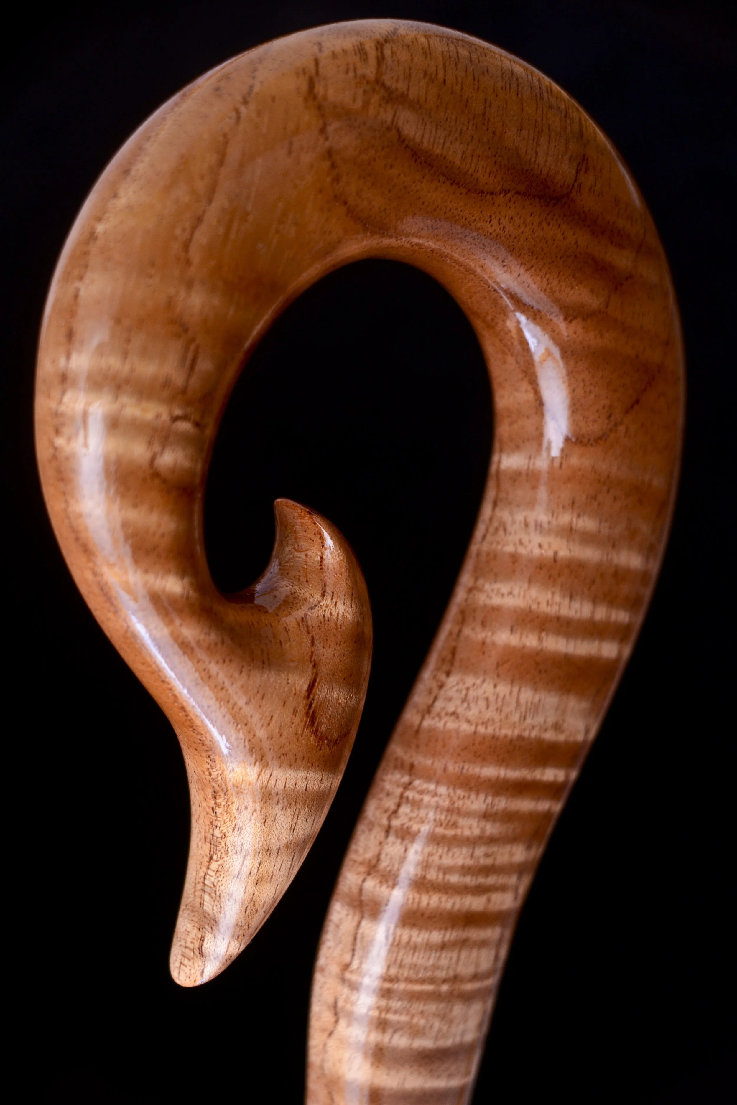 Toona sureni, Makore 7.jpg