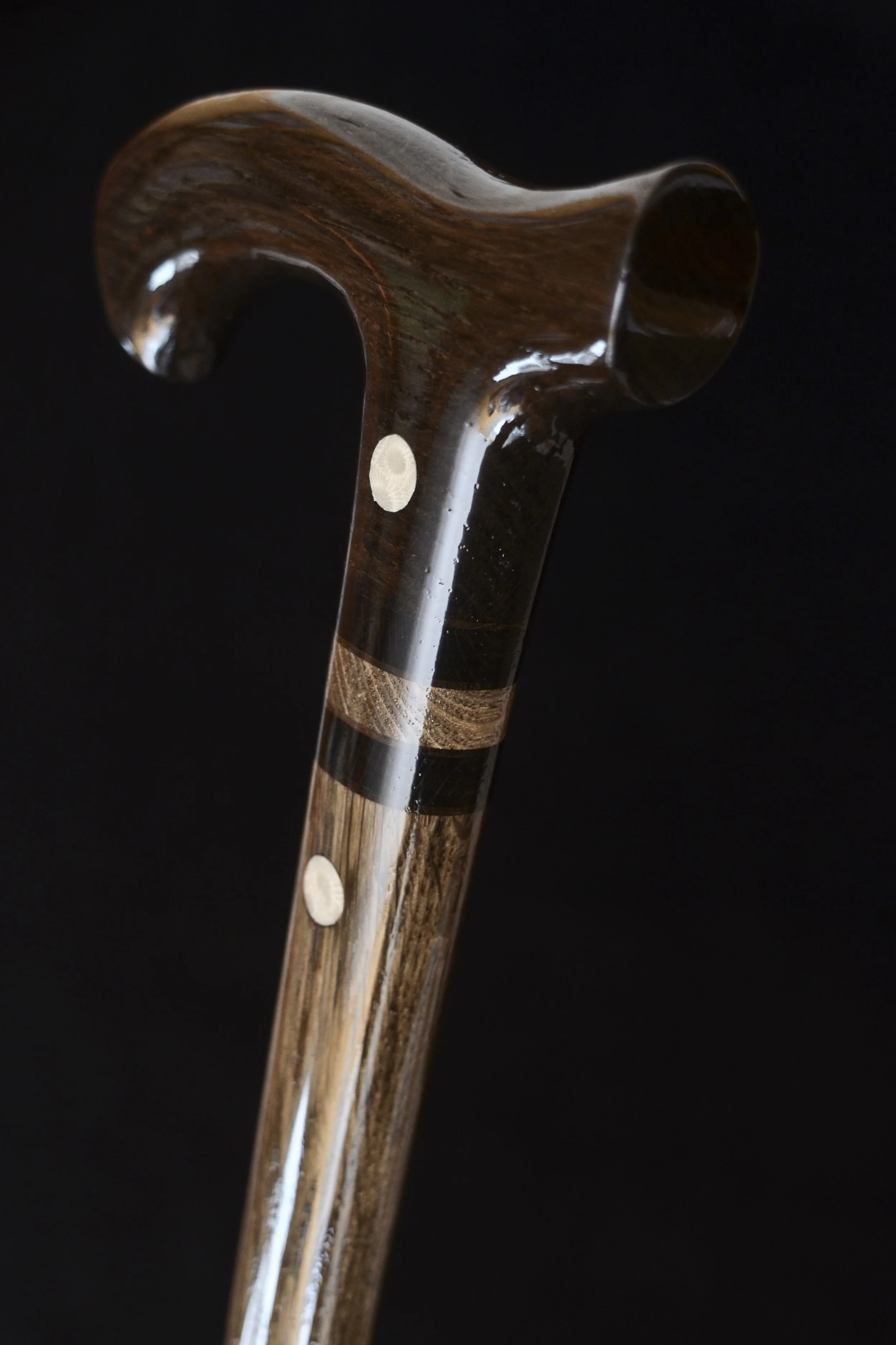 Bog Oak Fossil coral  3.jpg