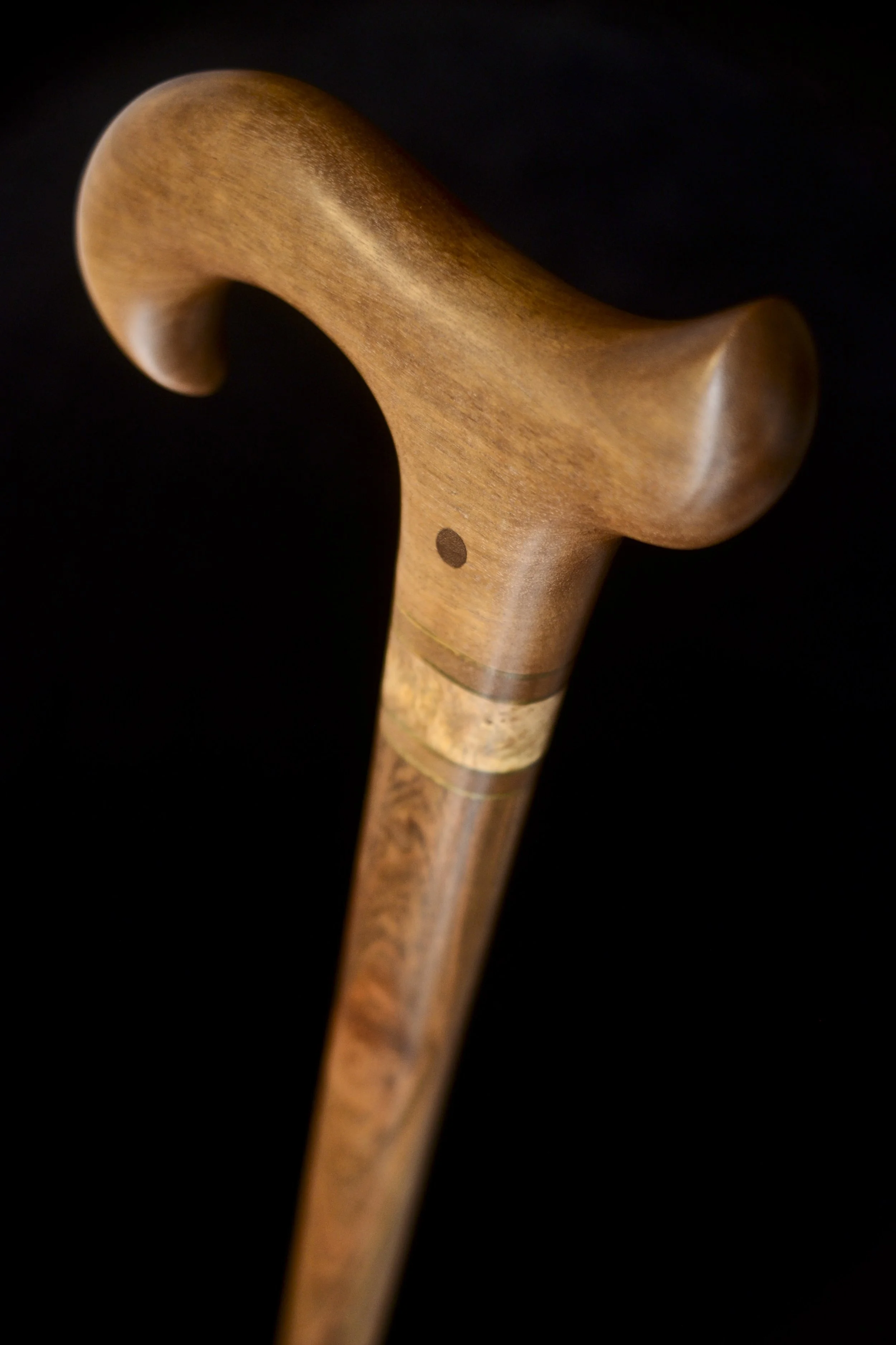 Sinker Birch, Ipe 3.jpg